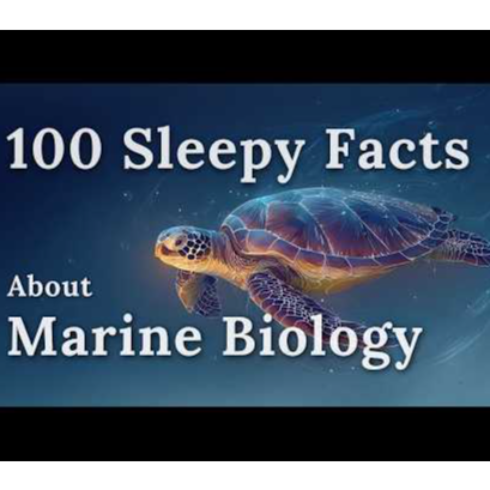 The Most Relaxing Facts About Marine Biology to Fall Asleep To