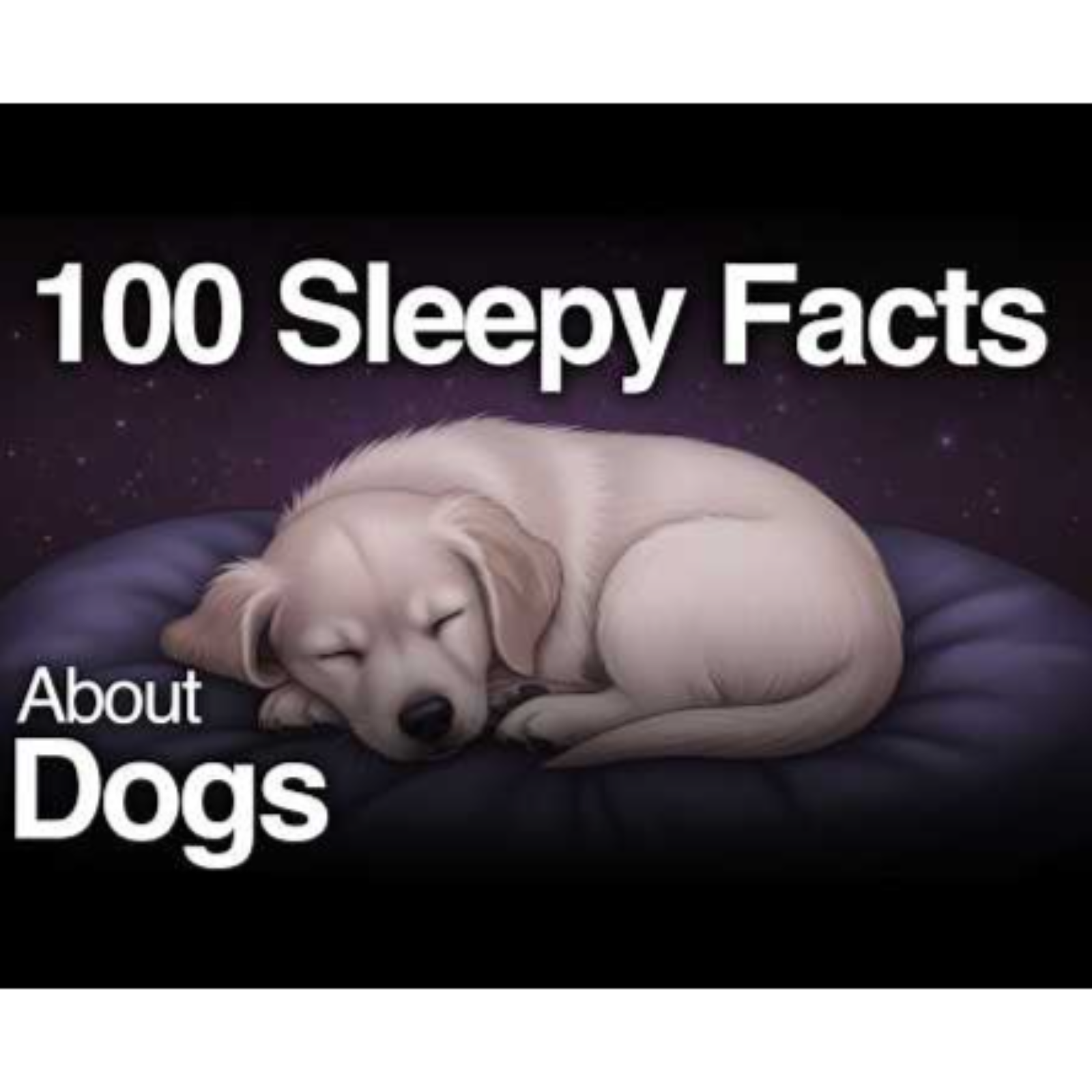 The Most Relaxing Facts About Animals That Help You Sleep Better