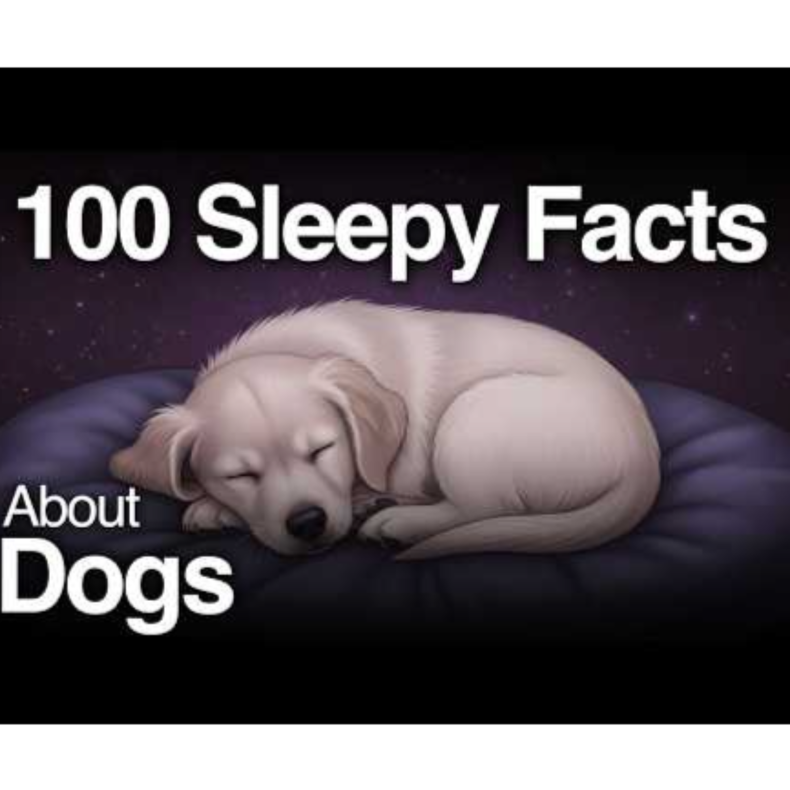 The Most Relaxing Facts About Animals That Help You Sleep Better episode artwork
