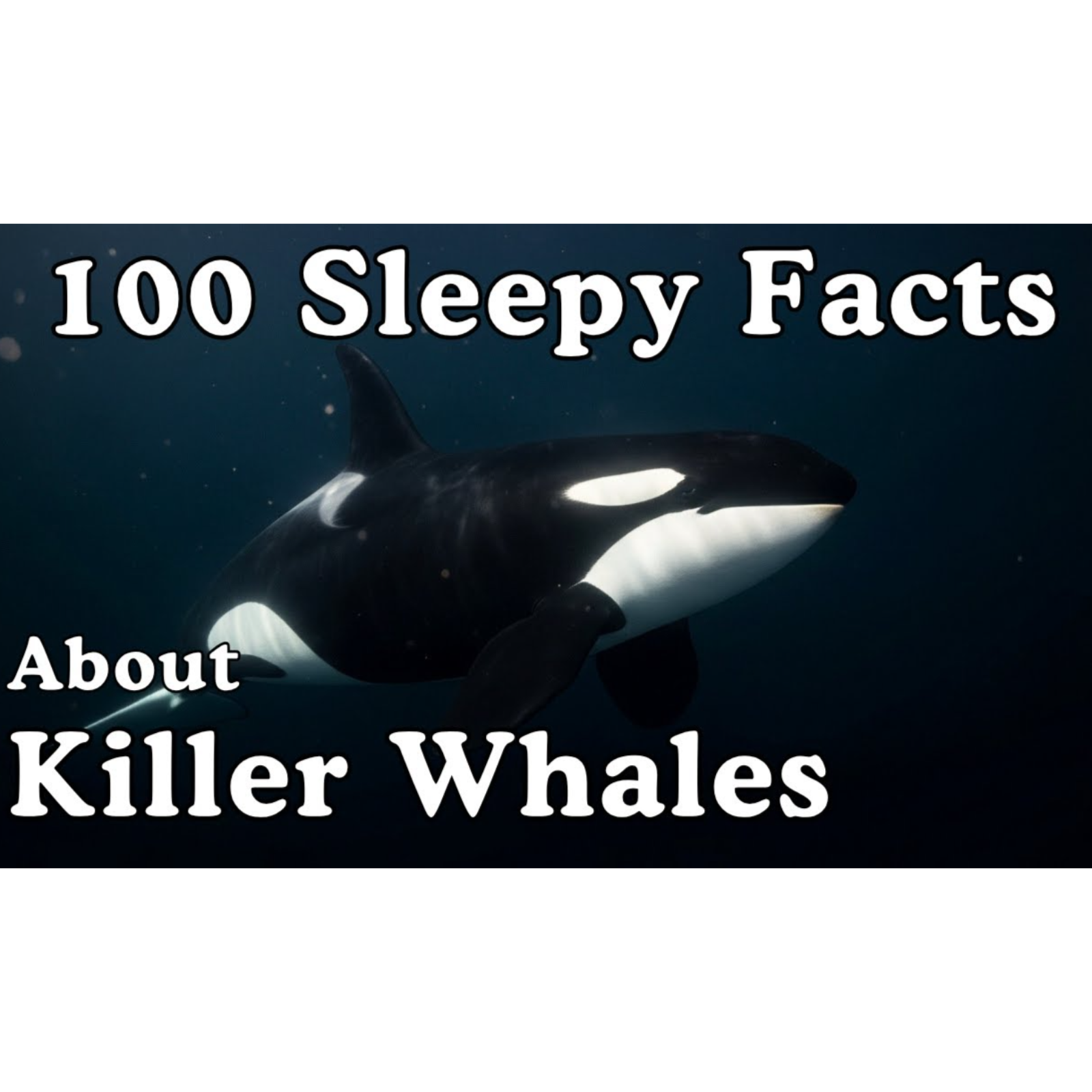 The Most Relaxing Facts About Orcas To Fall Asleep To - Sleepy Science episode artwork