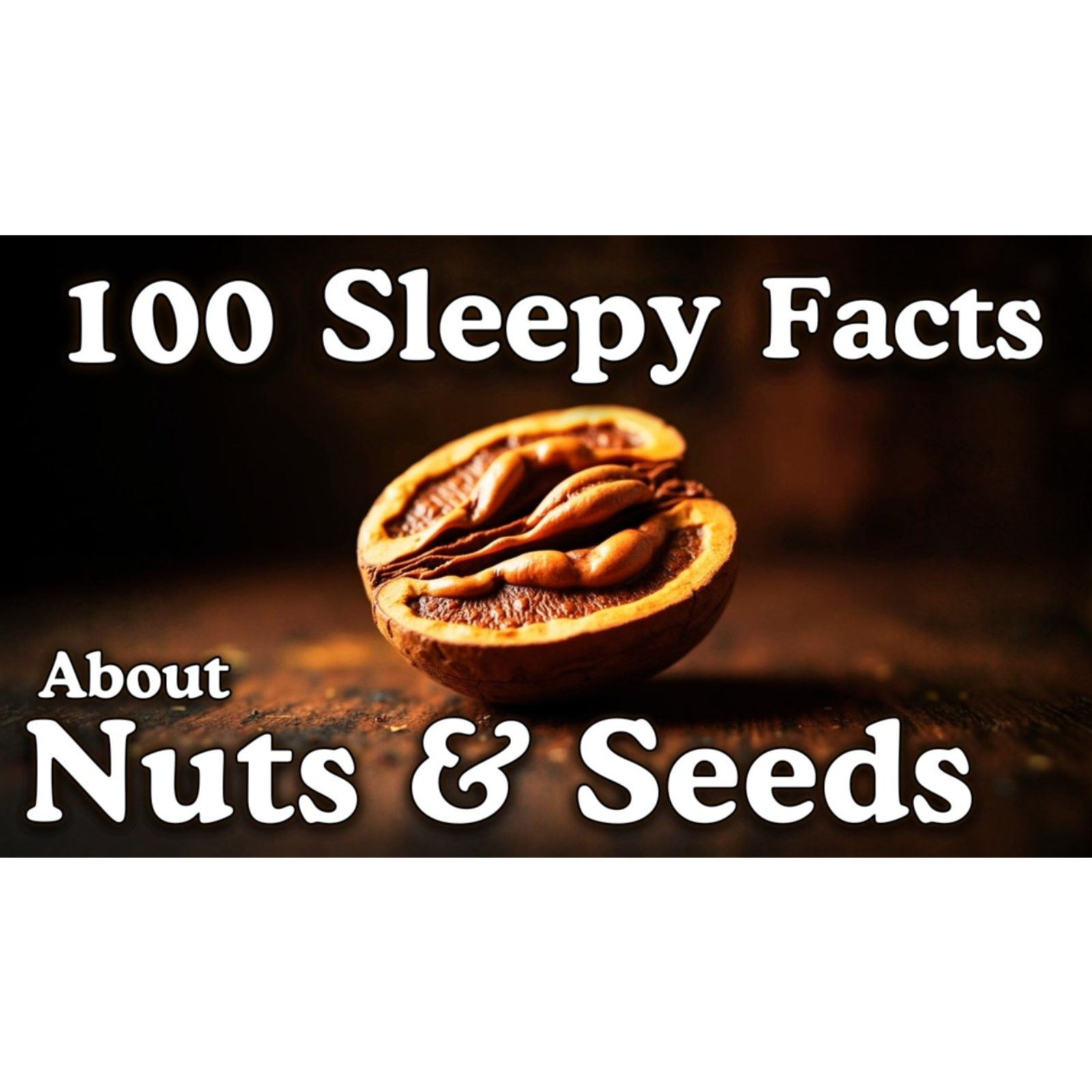 The Most Relaxing Facts About Nuts _ Seeds to Fall Asleep To _ No Adverts( episode artwork