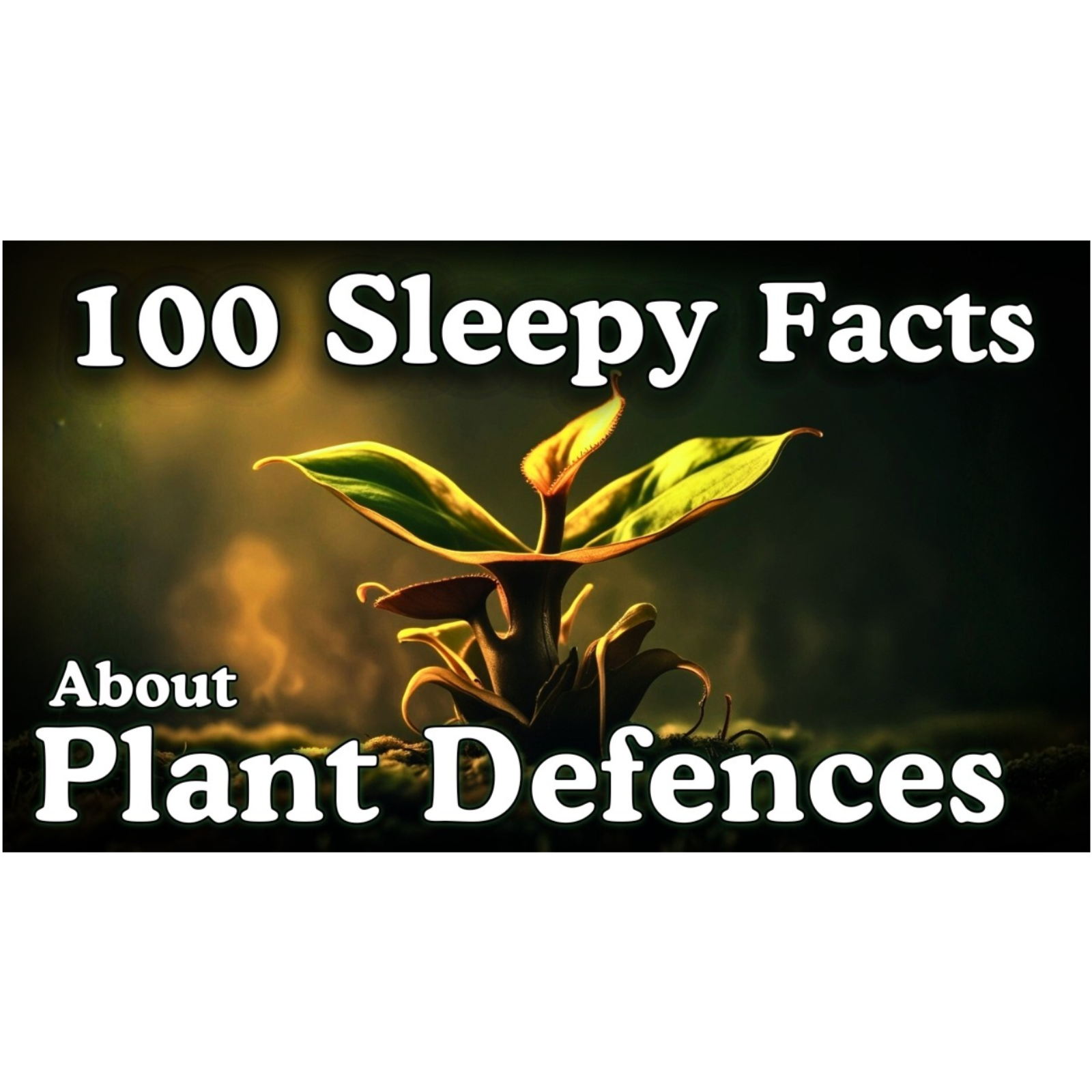 The Most Relaxing Facts About Plant Intelligence to Fall Asleep To _ No Adverts episode artwork