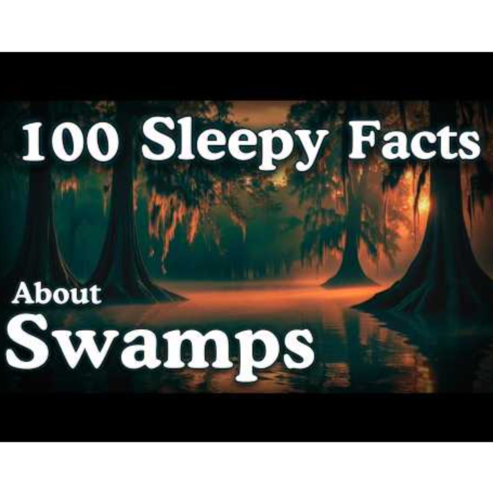 The Most Relaxing Facts About Ancient Ecosystems to Fall Asleep To _ No Adverts episode artwork