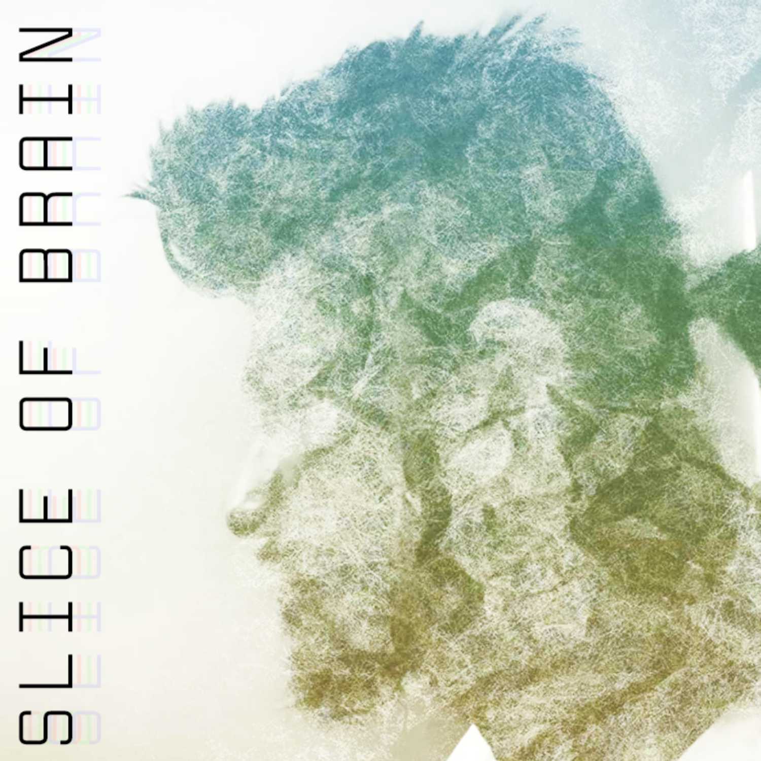 Slice of Brain
