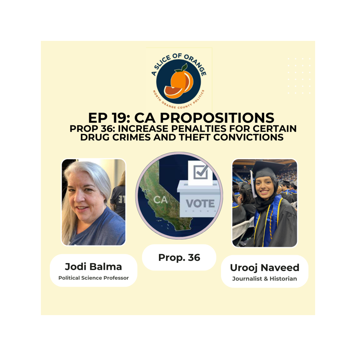 CA Prop 36 Increase Penalties for Certain Drug Crimes and Theft Convictions