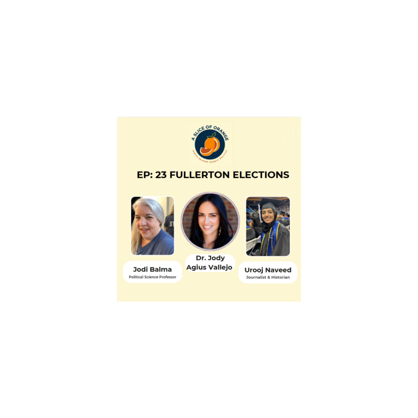 Fullerton Elections