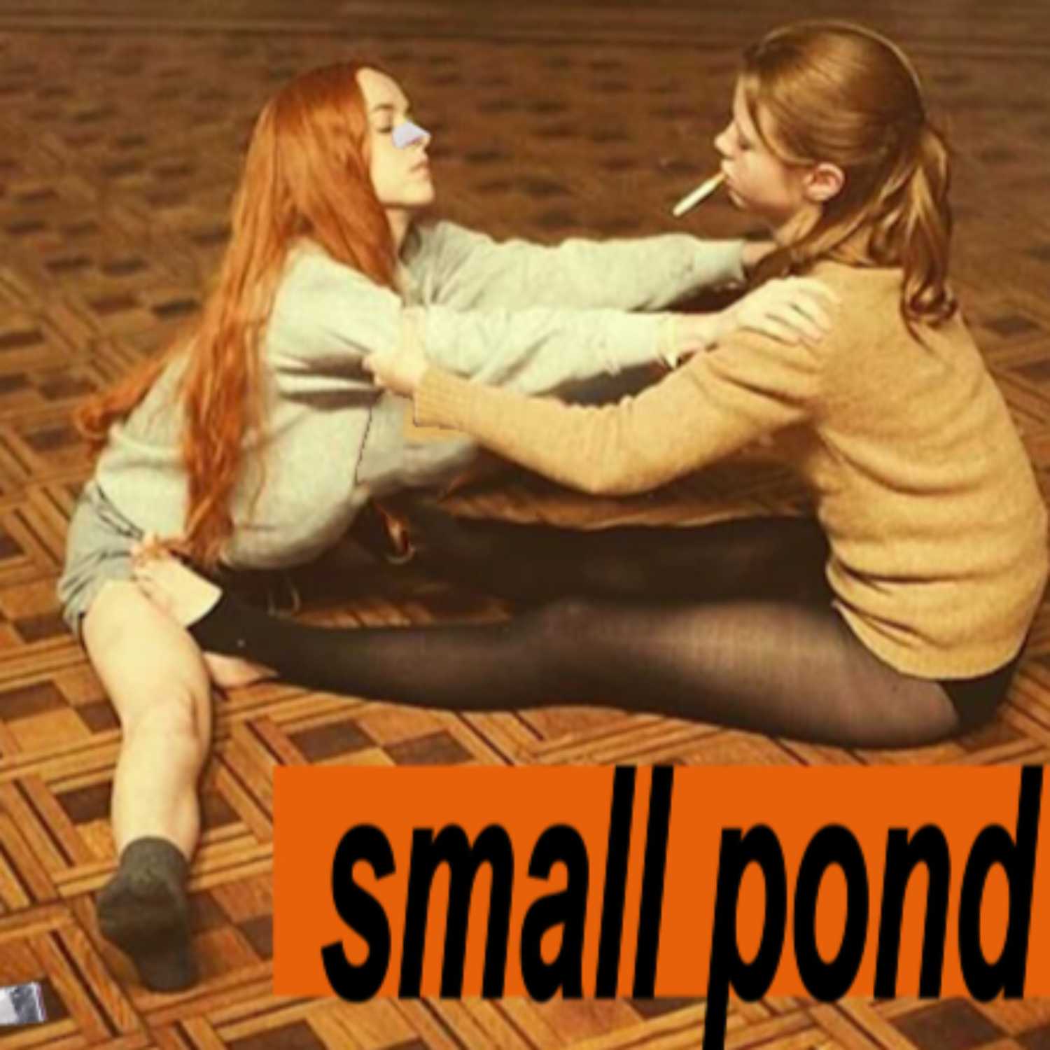 Small Pond podcast artwork