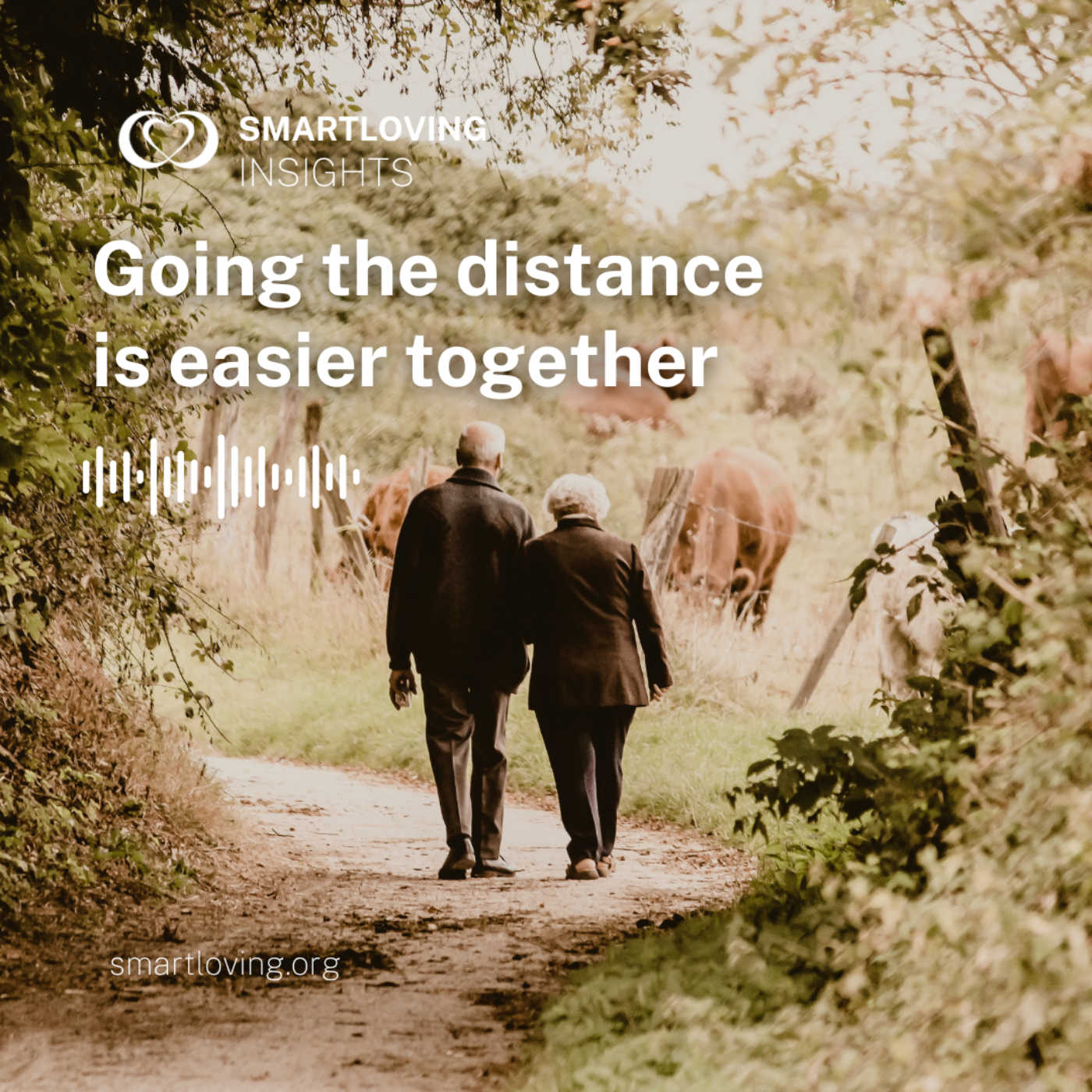 Going the distance is easier together - SL Insights Ep 15