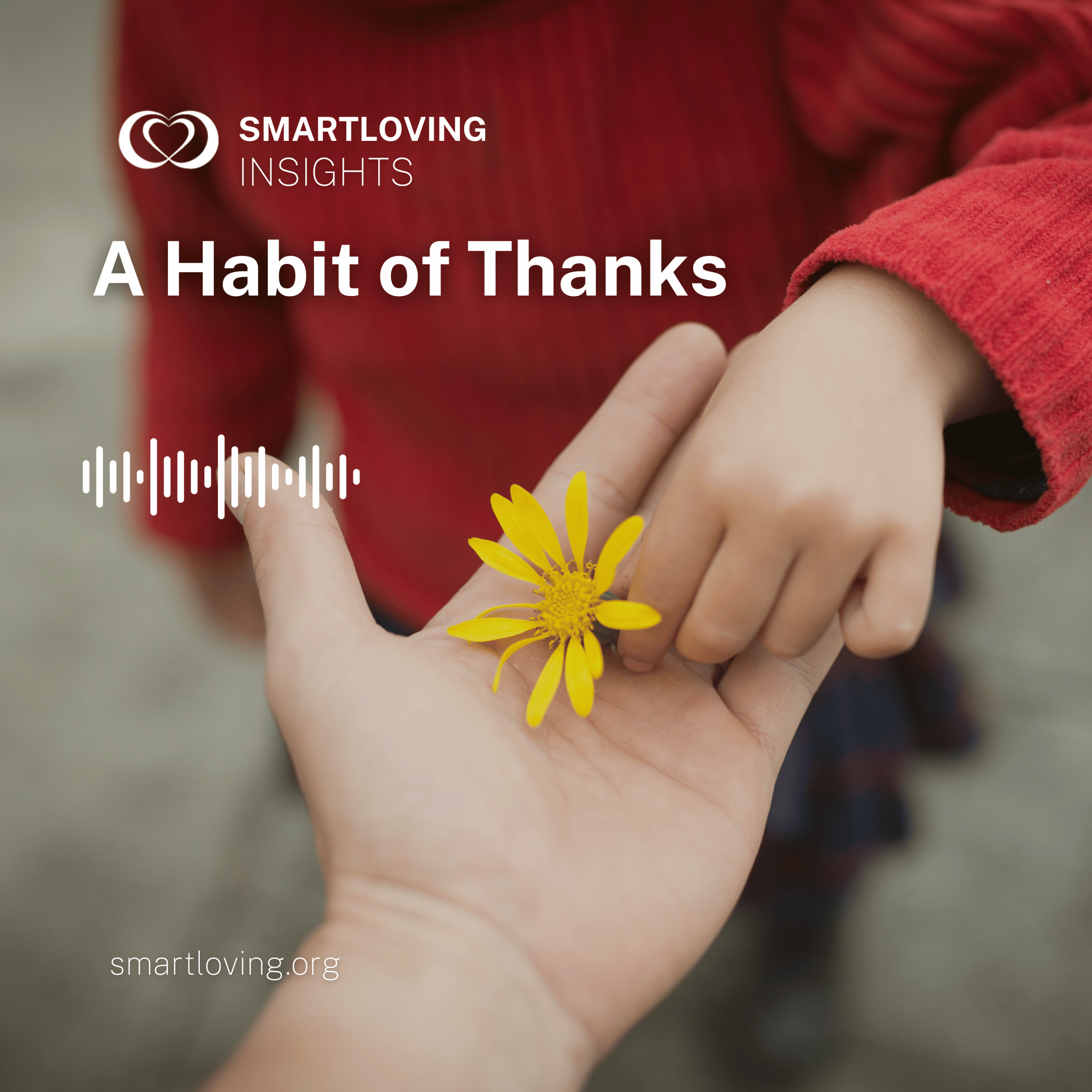 A Habit of Thanks - SL Insights Ep 16