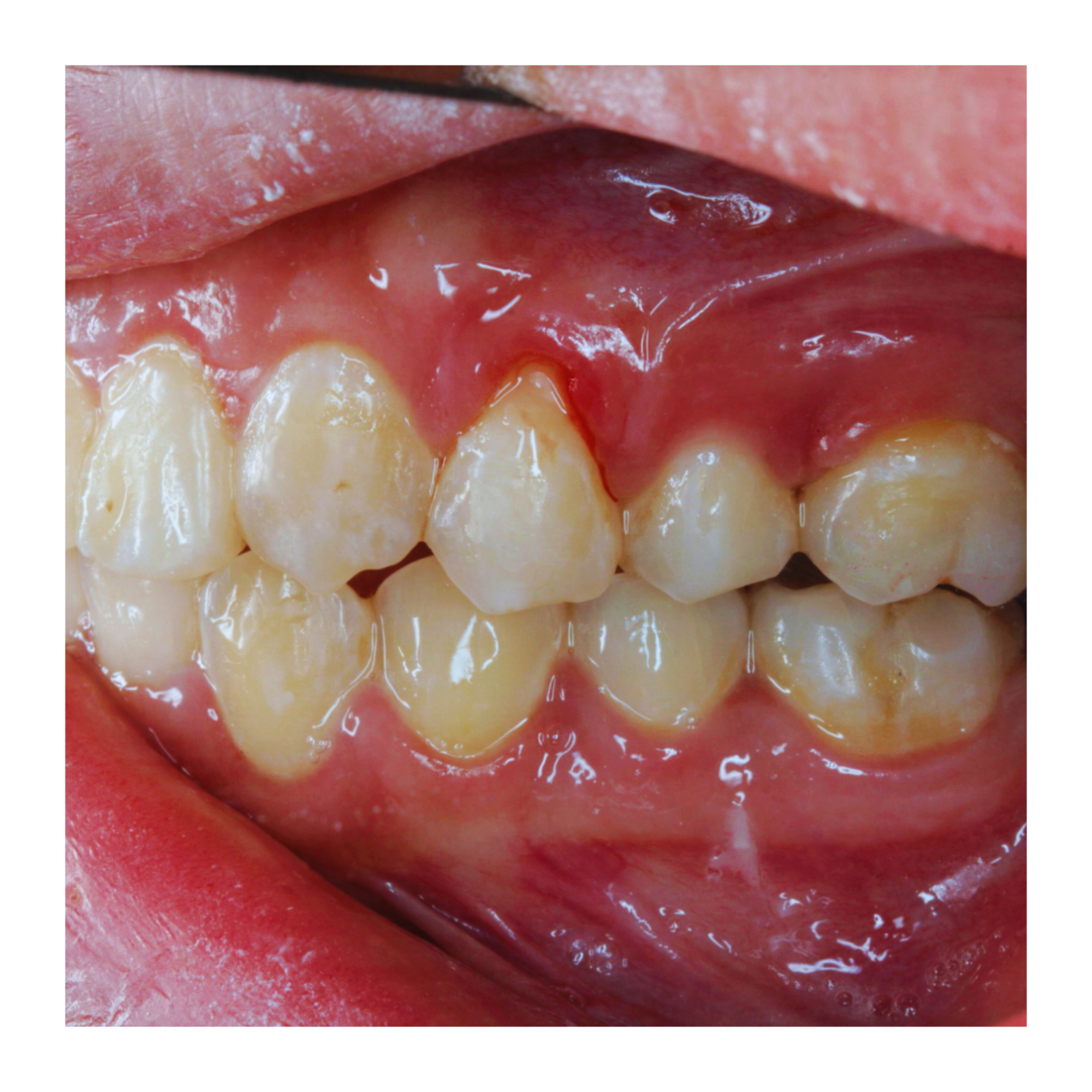 Smile Matters: The Dental Wellness Podcast podcast artwork