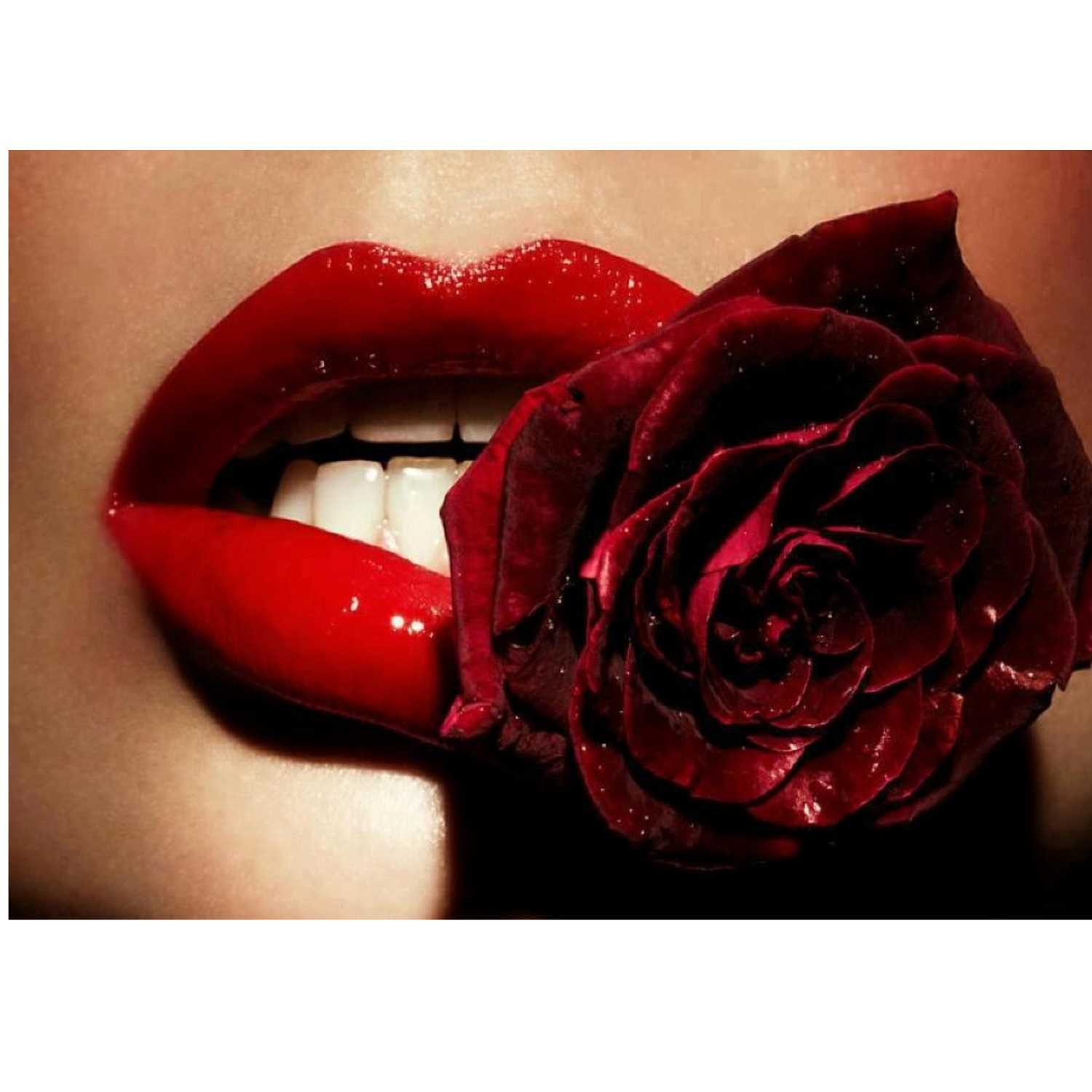 Enchanted Rose