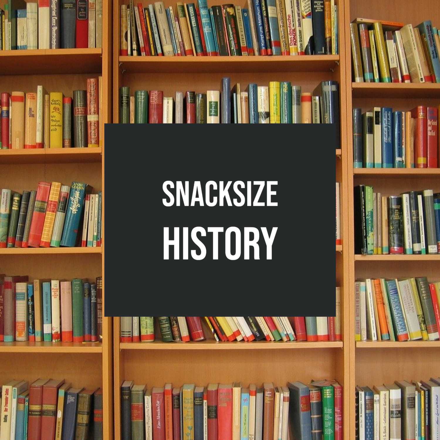 Snacksize History episode 2- the worst year on record?