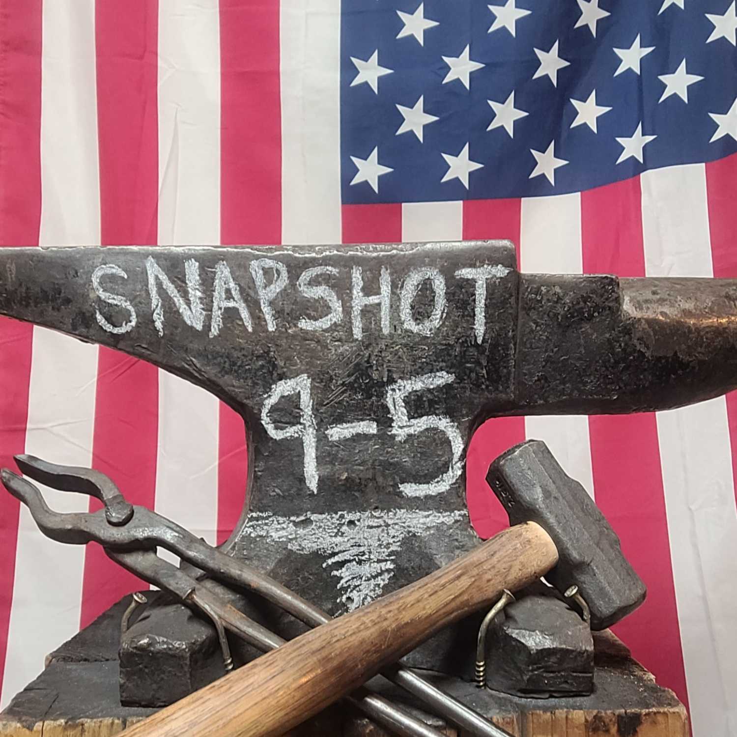 Snapshot95