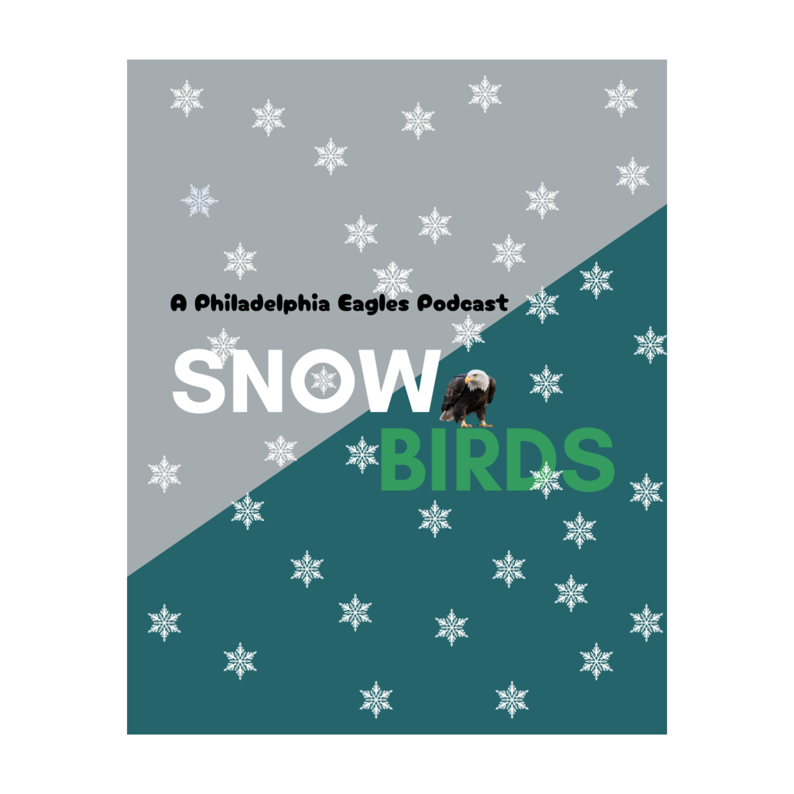 SnowBirds - A Philadelphia Eagles Podcast