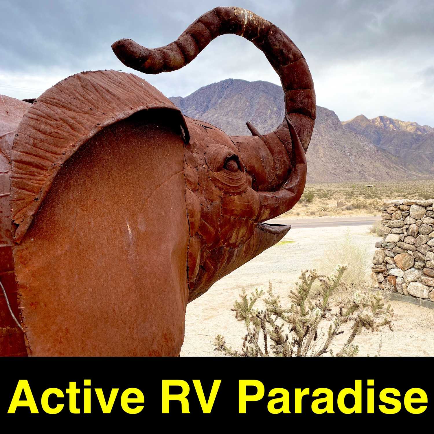 Snowbirds & RV Travelers