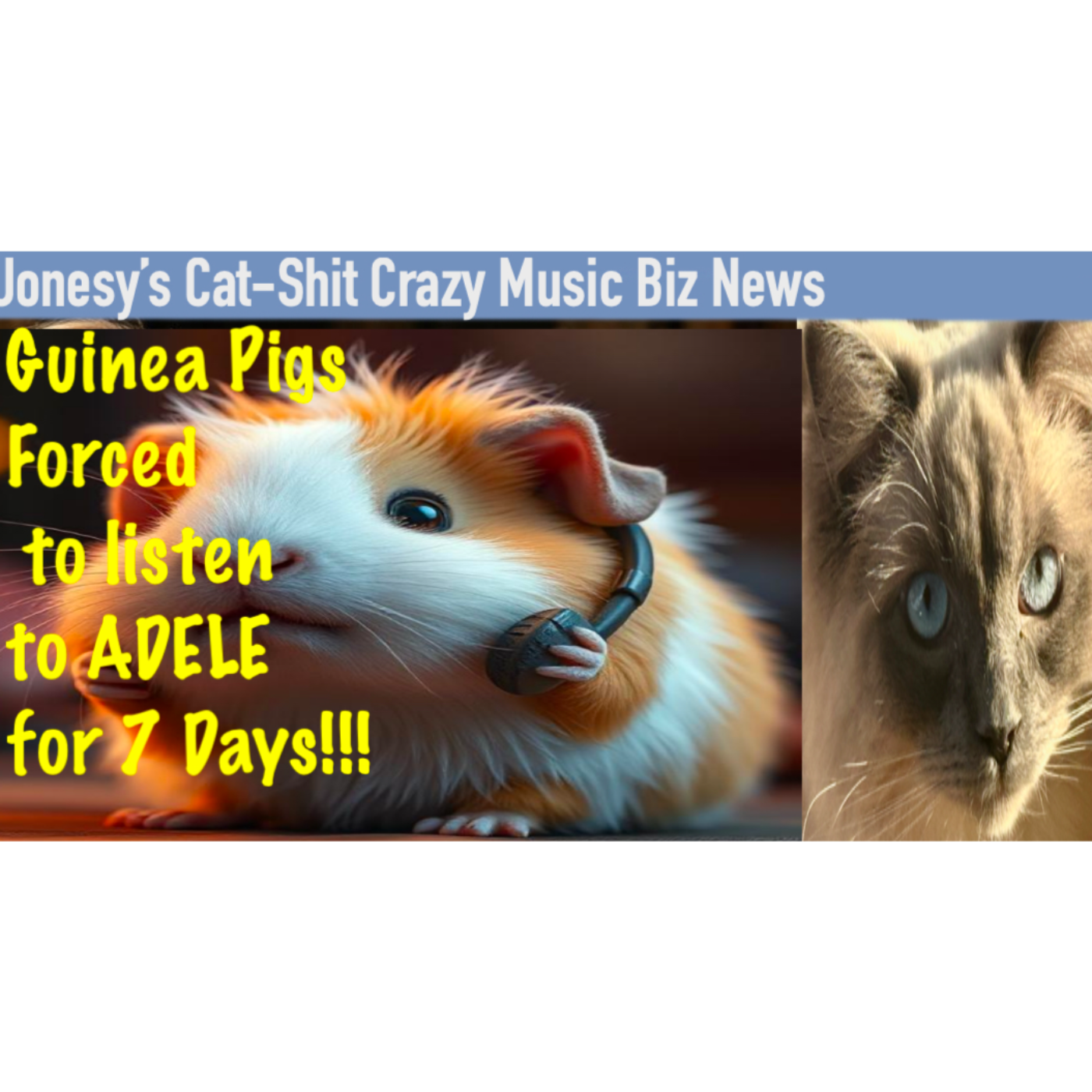 Guinea Pigs Forced to Listen to Adele for 7 Days!!! episode artwork