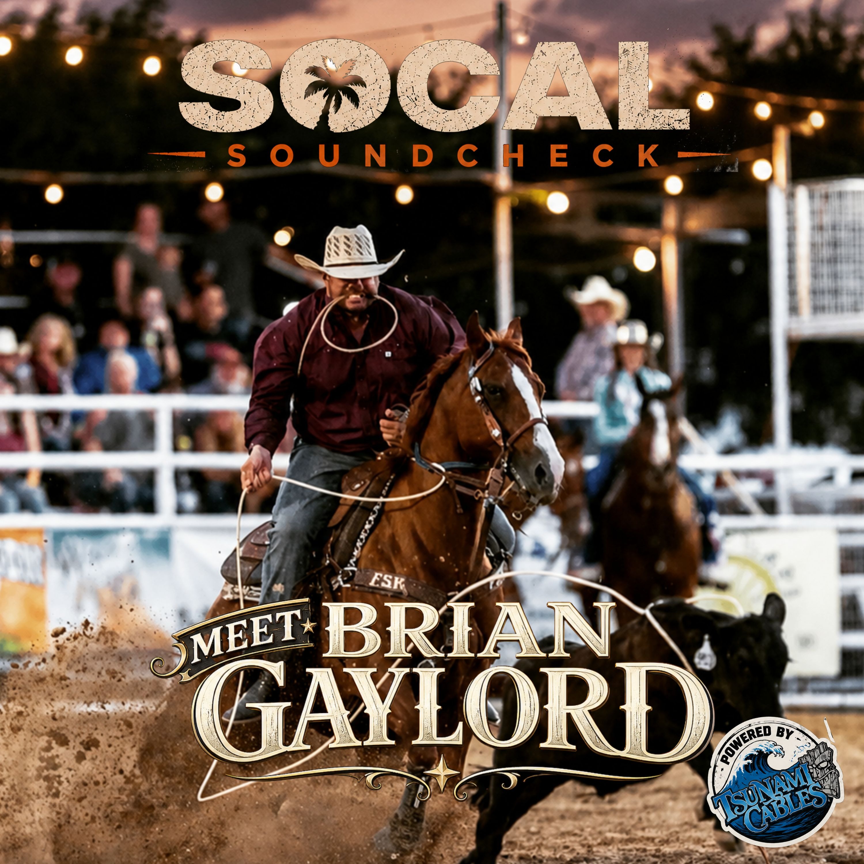 Brian Gaylord: “I Have Three Hours to Make You Love Country Music" episode artwork