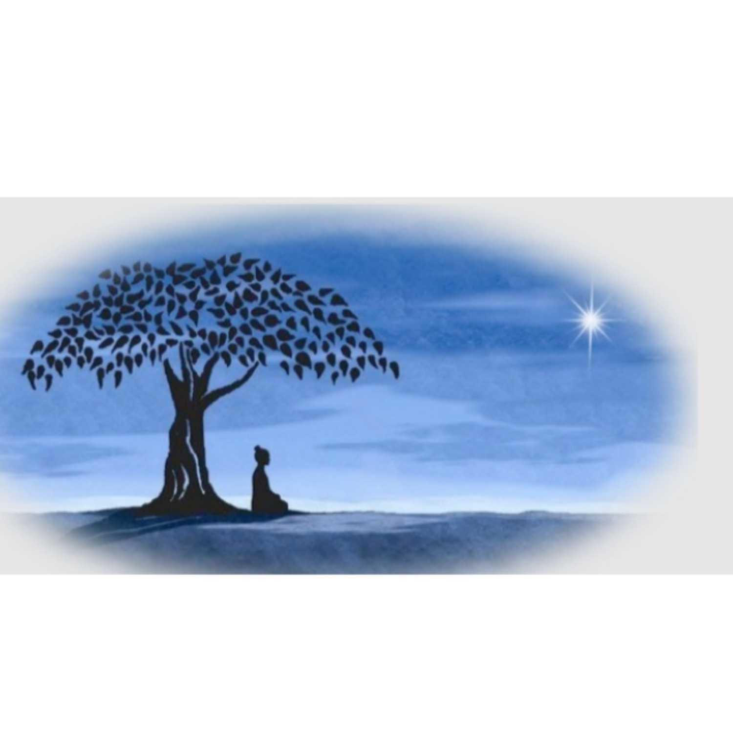 Life taught social lessons, in growth, denial, accepting and learning. podcast artwork