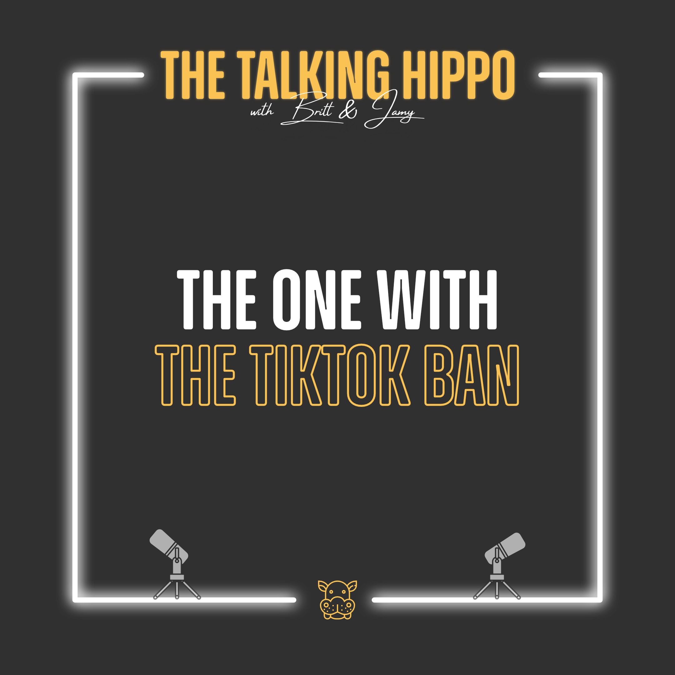 S3E2: The One with the TikTok Ban
