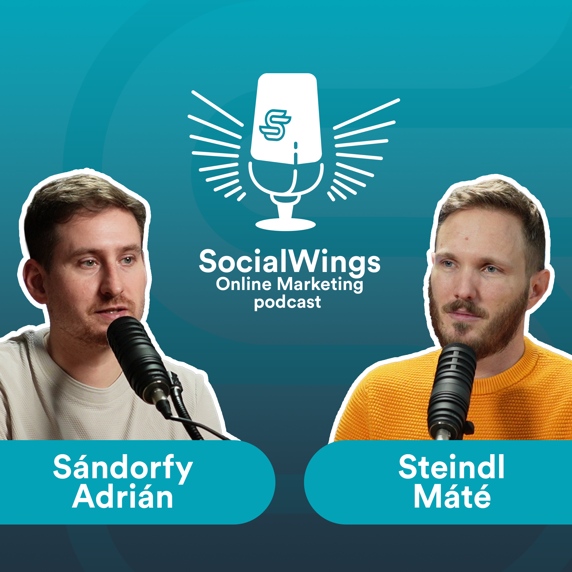 SocialWings Online Marketing