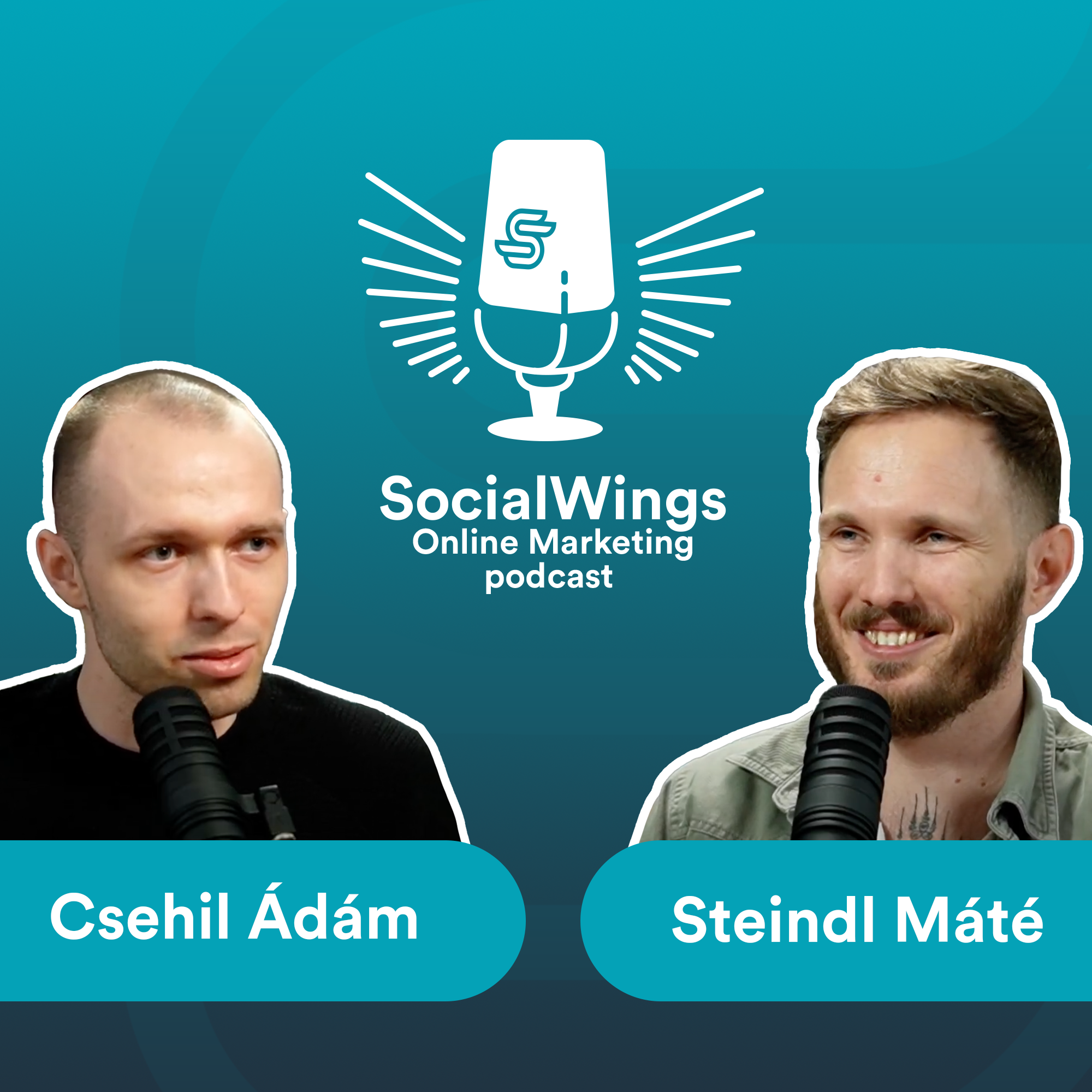 SocialWings Online Marketing