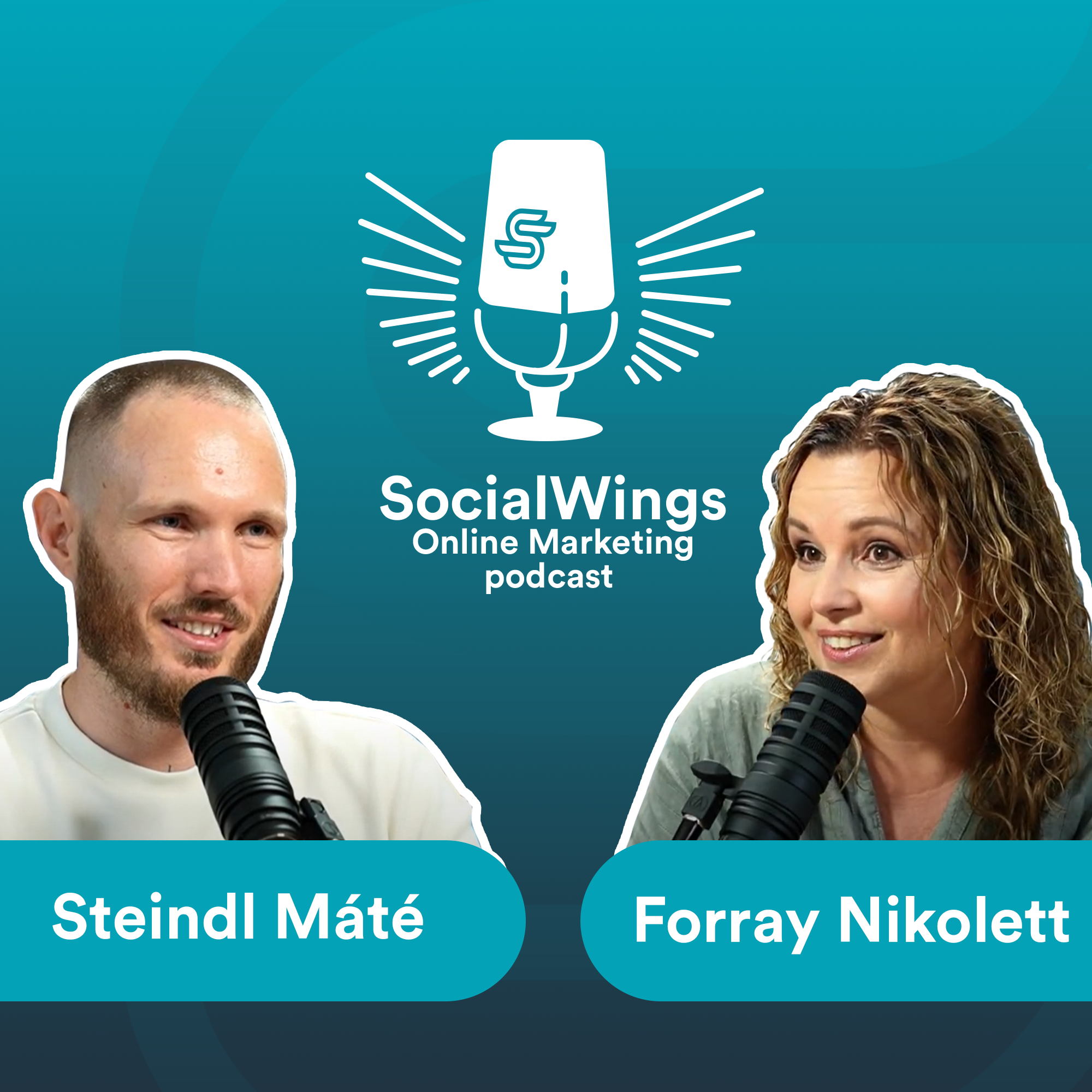 SocialWings Online Marketing