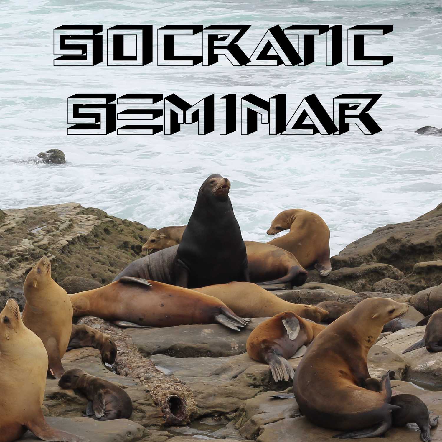 Socratic Seminar