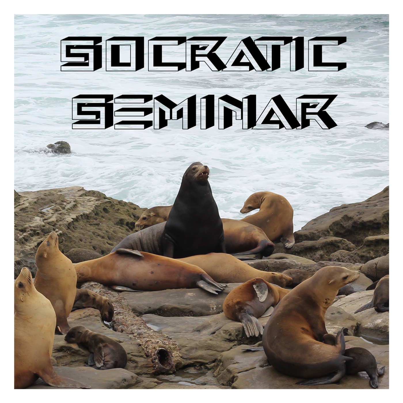 Socratic Seminar