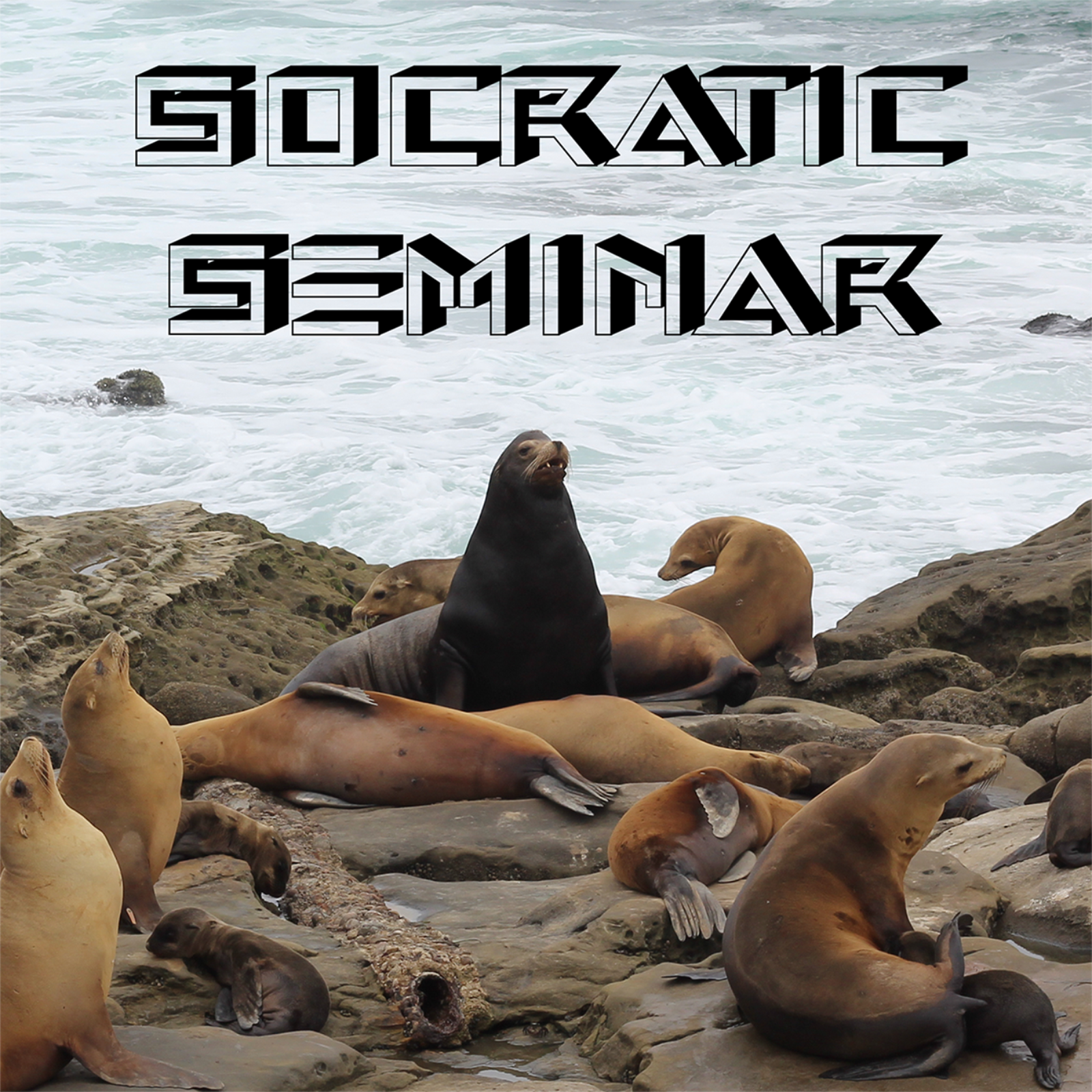 Socratic Seminar cover