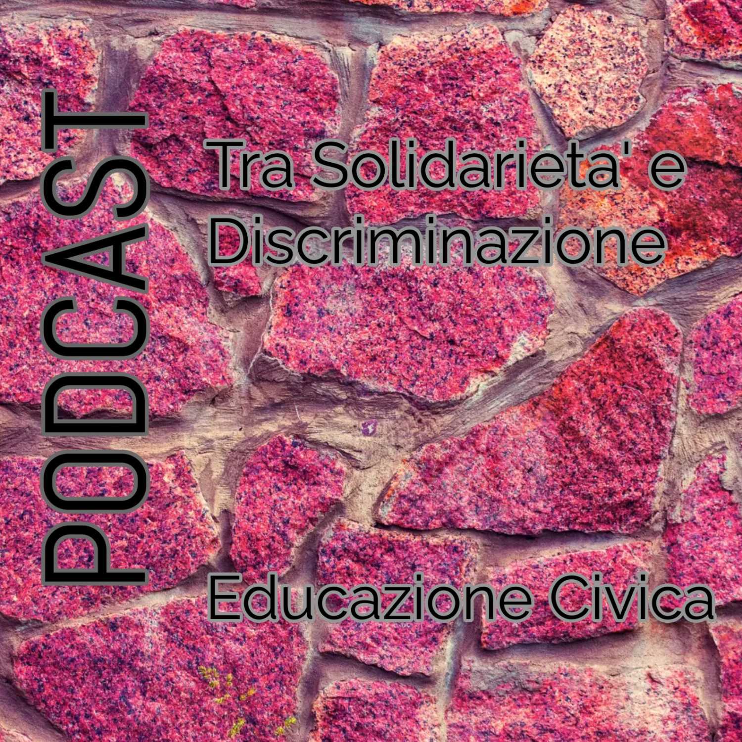 Solidarietà e Discriminazione 