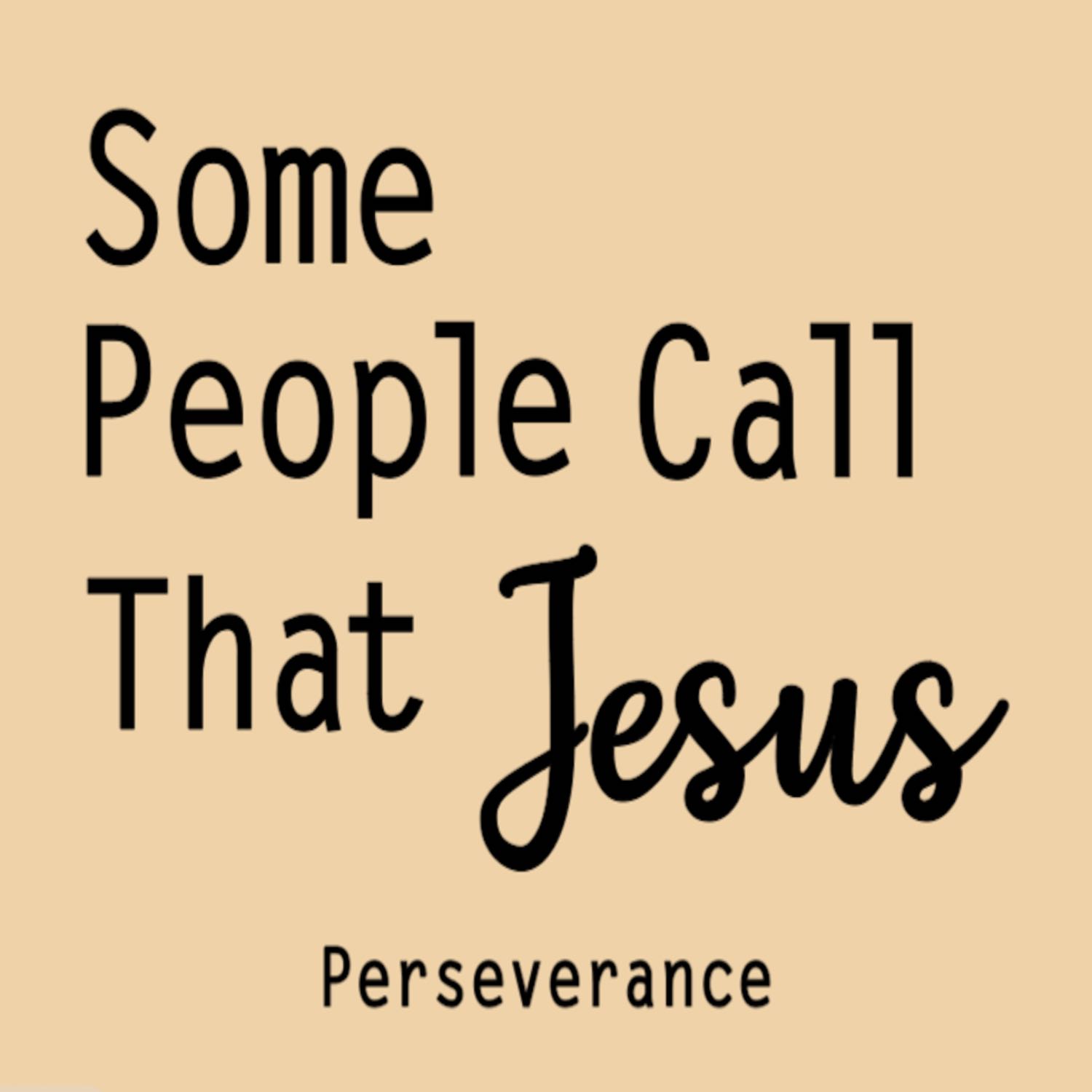 Perseverance Perseverance