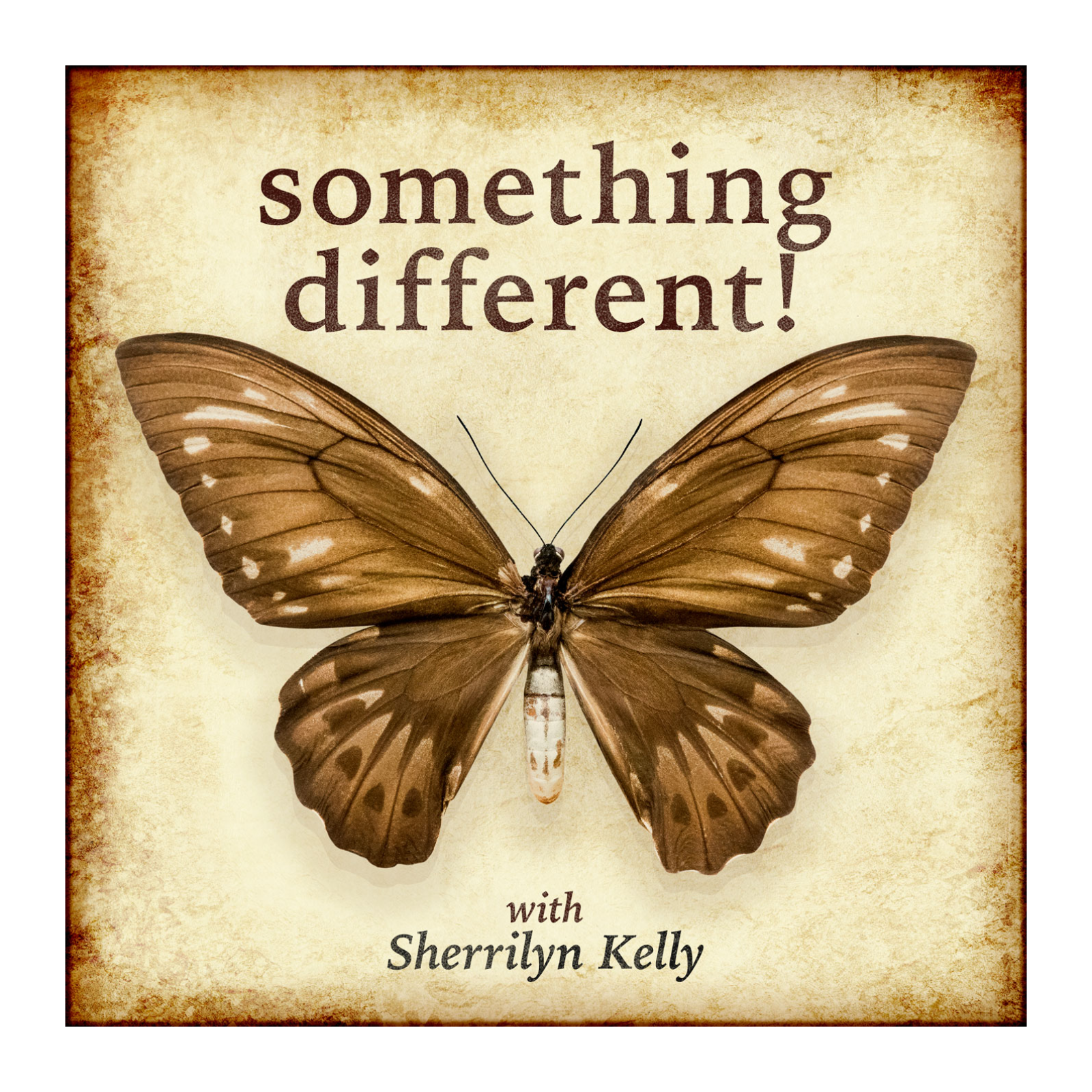 Something -different! cover art