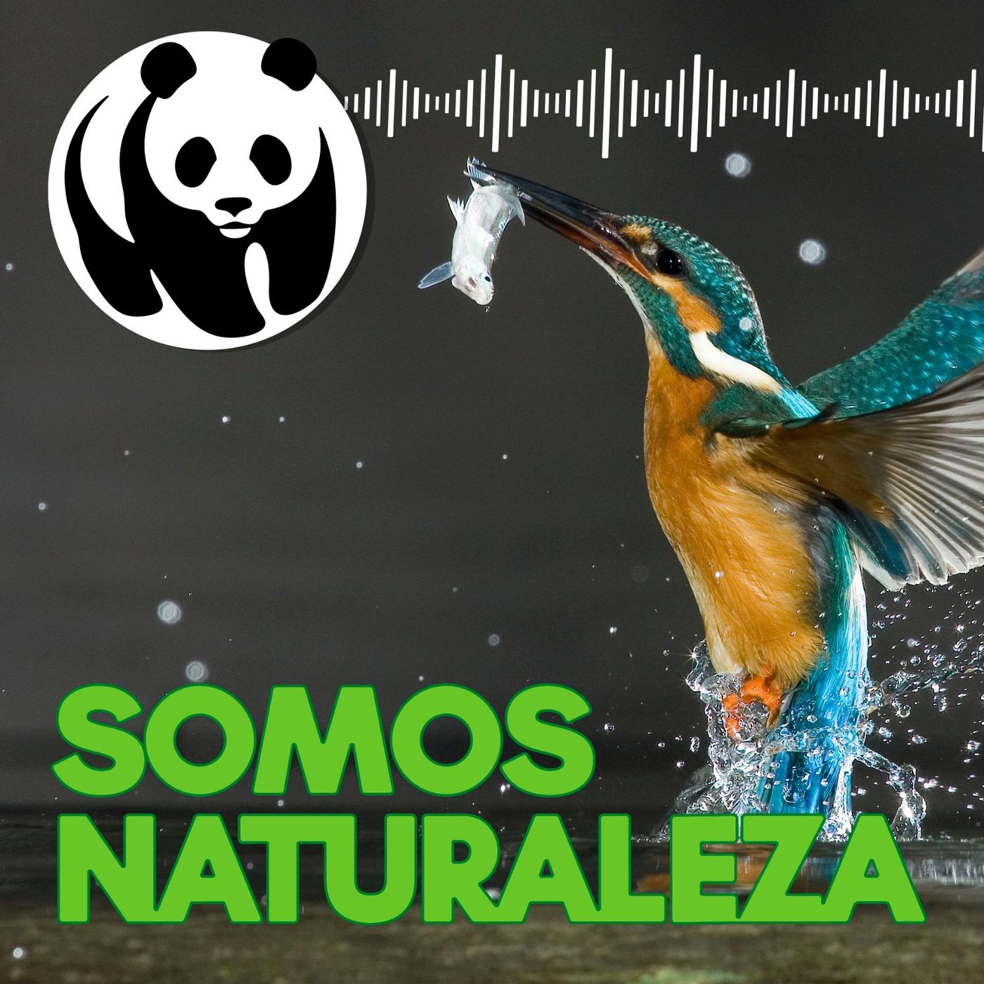 Somos naturaleza | El podcast de WWF España 🐼