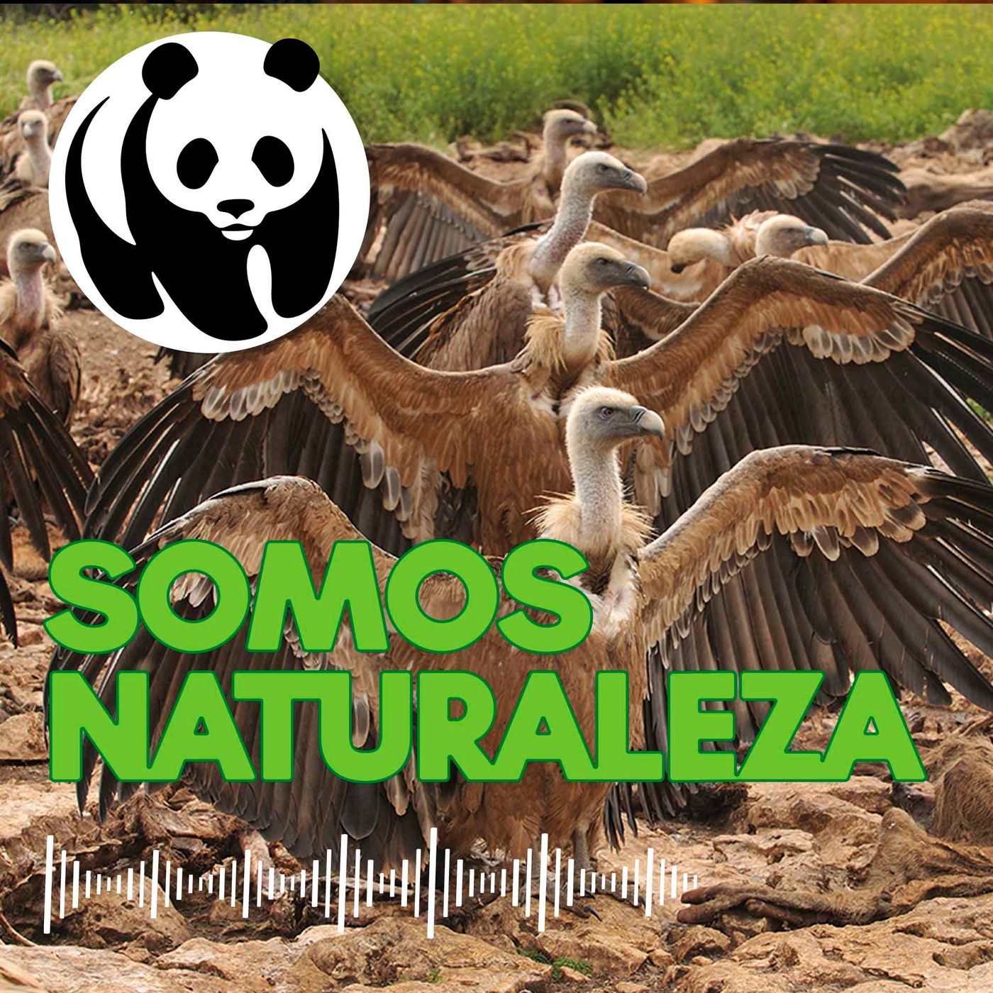 Somos naturaleza | El podcast de WWF España 🐼