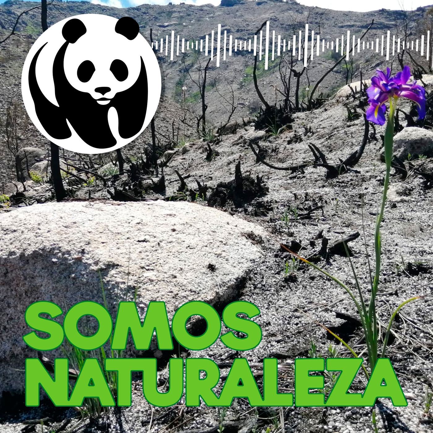 Somos naturaleza | El podcast de WWF España 🐼