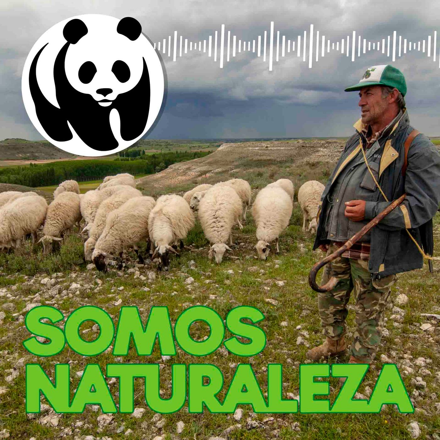 Somos naturaleza | El podcast de WWF España 🐼