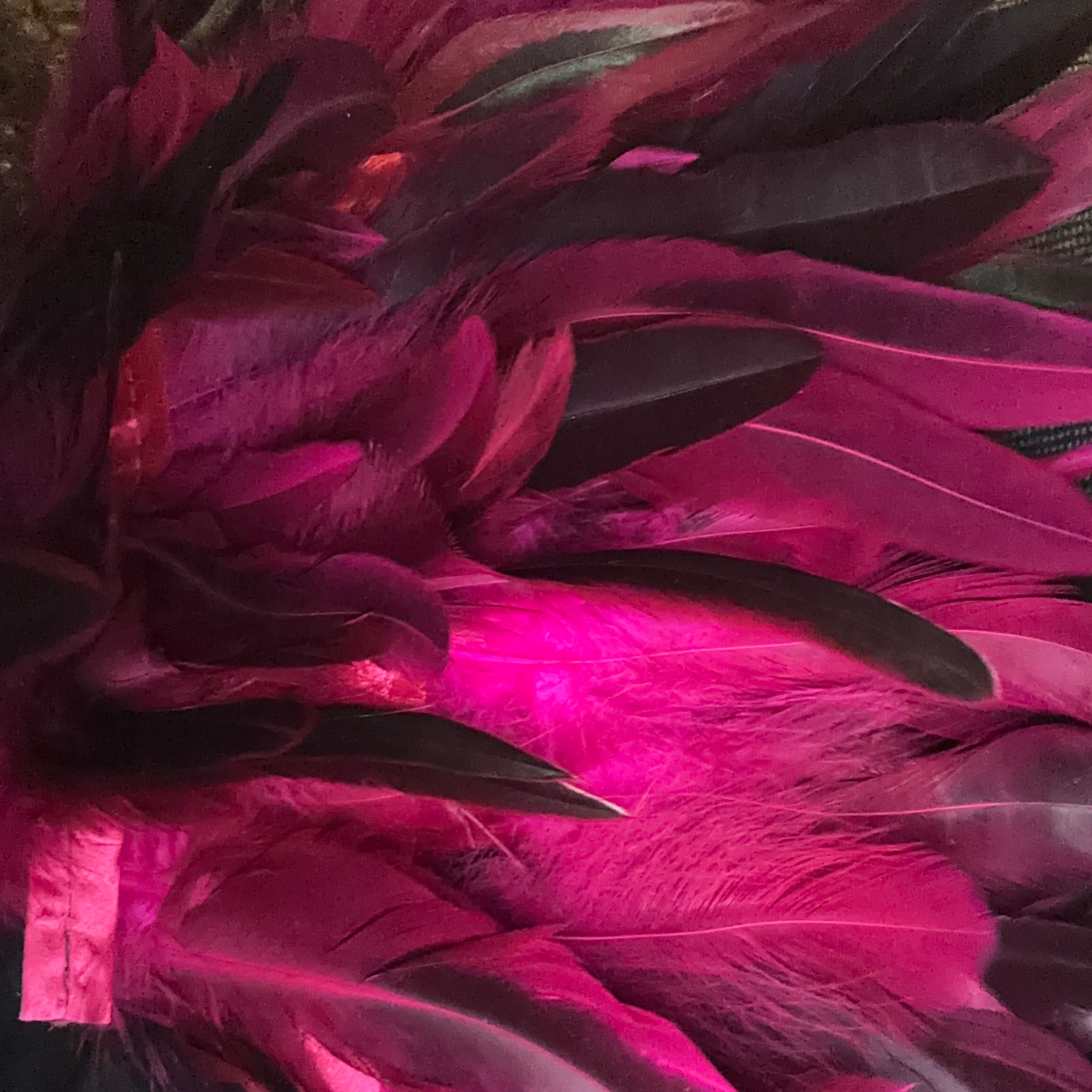 Songs that aren't on Spotify