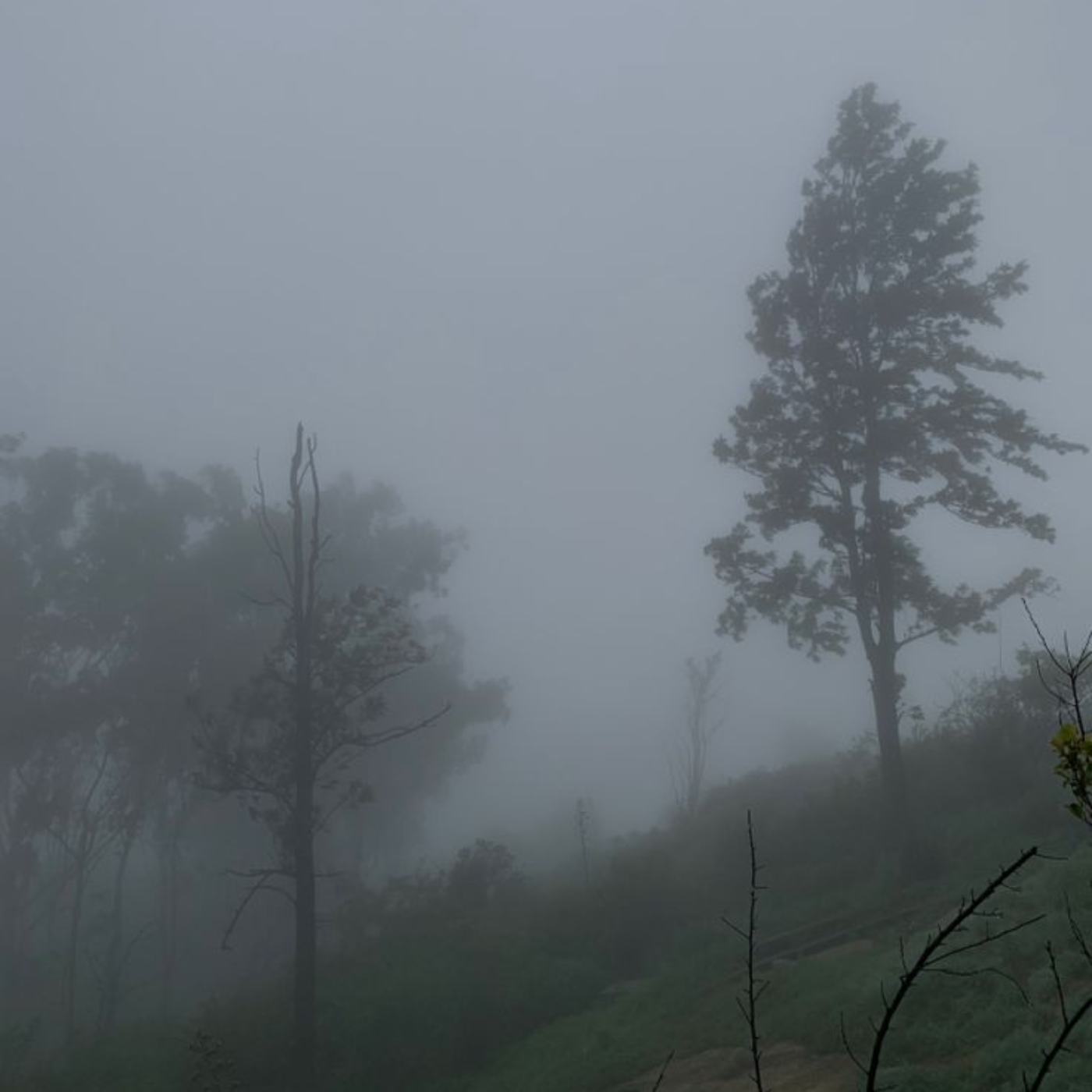 Songs Not on Spotify 