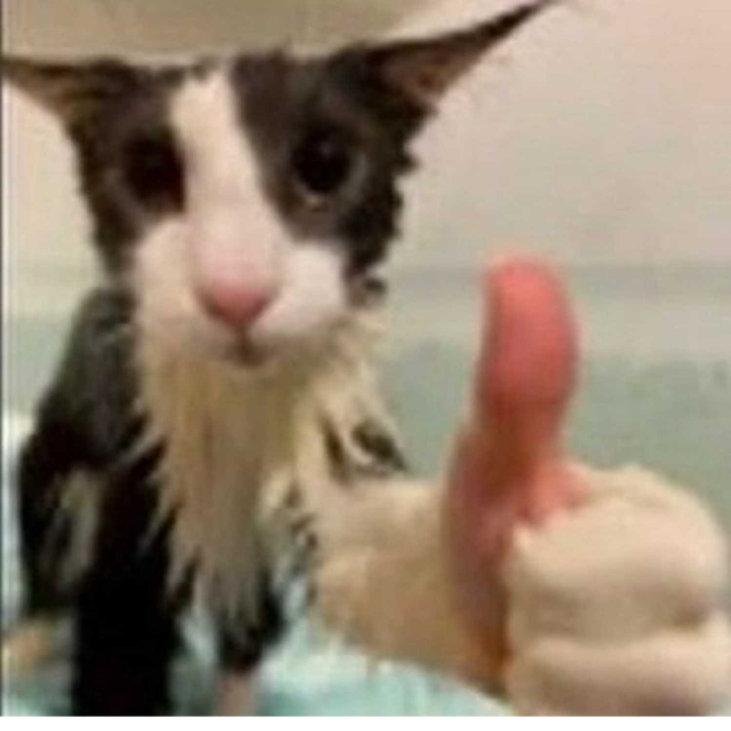 mc burberry - ya mum cover art