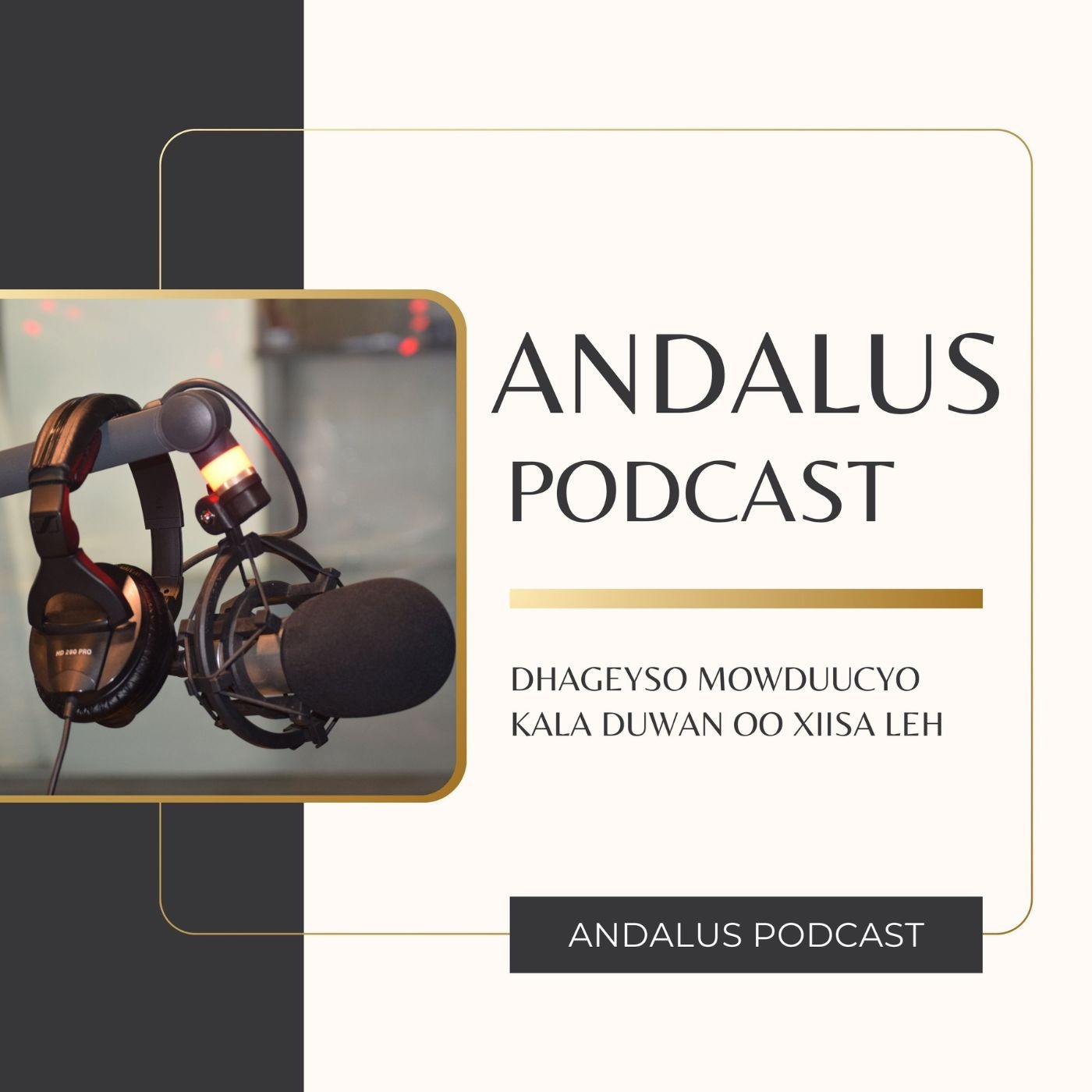 Andalu Podcast podcast artwork