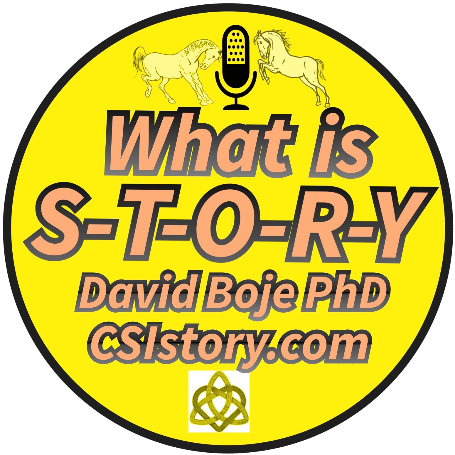 Entrepreneur\'s Storytelling Journey