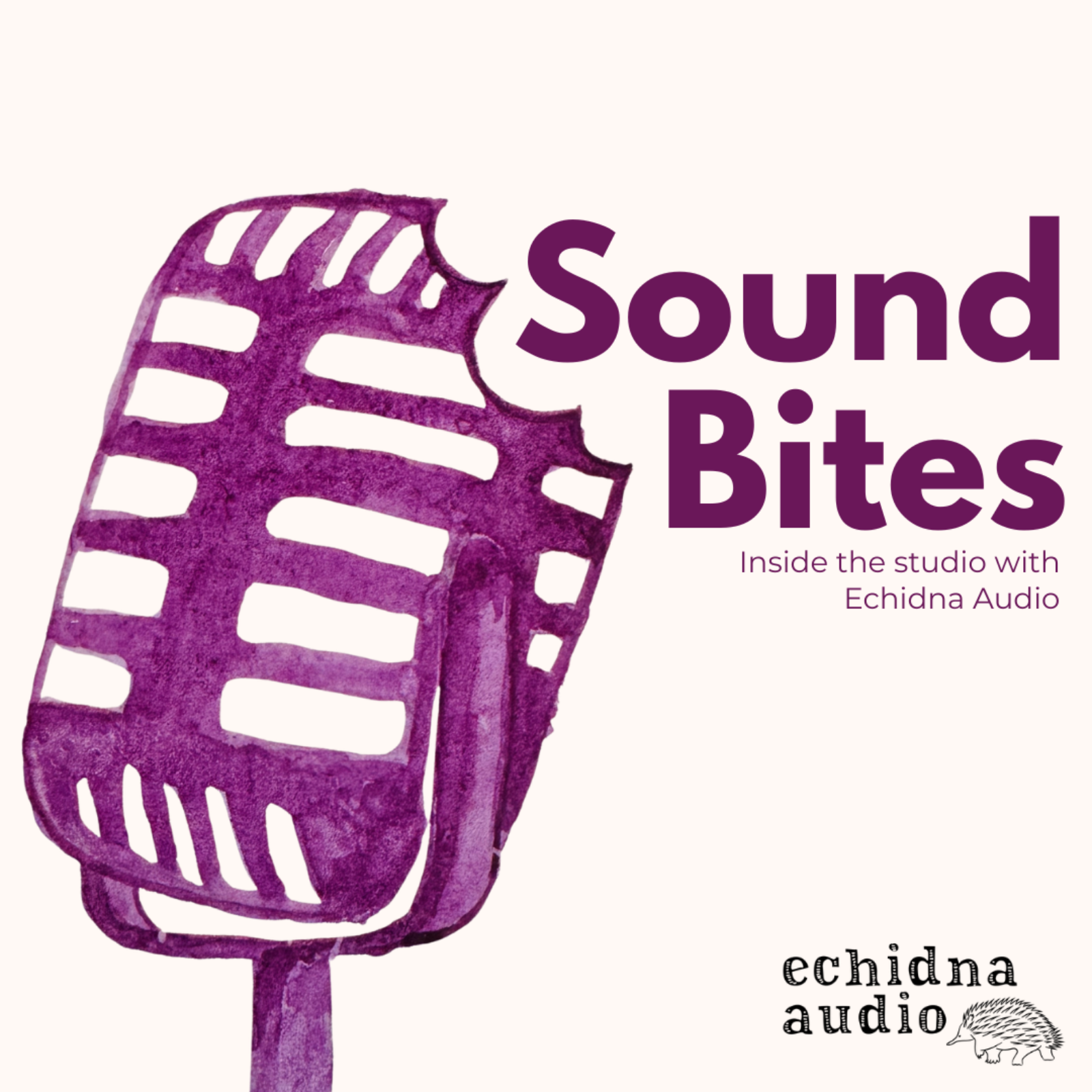 Sound Bites podcast artwork