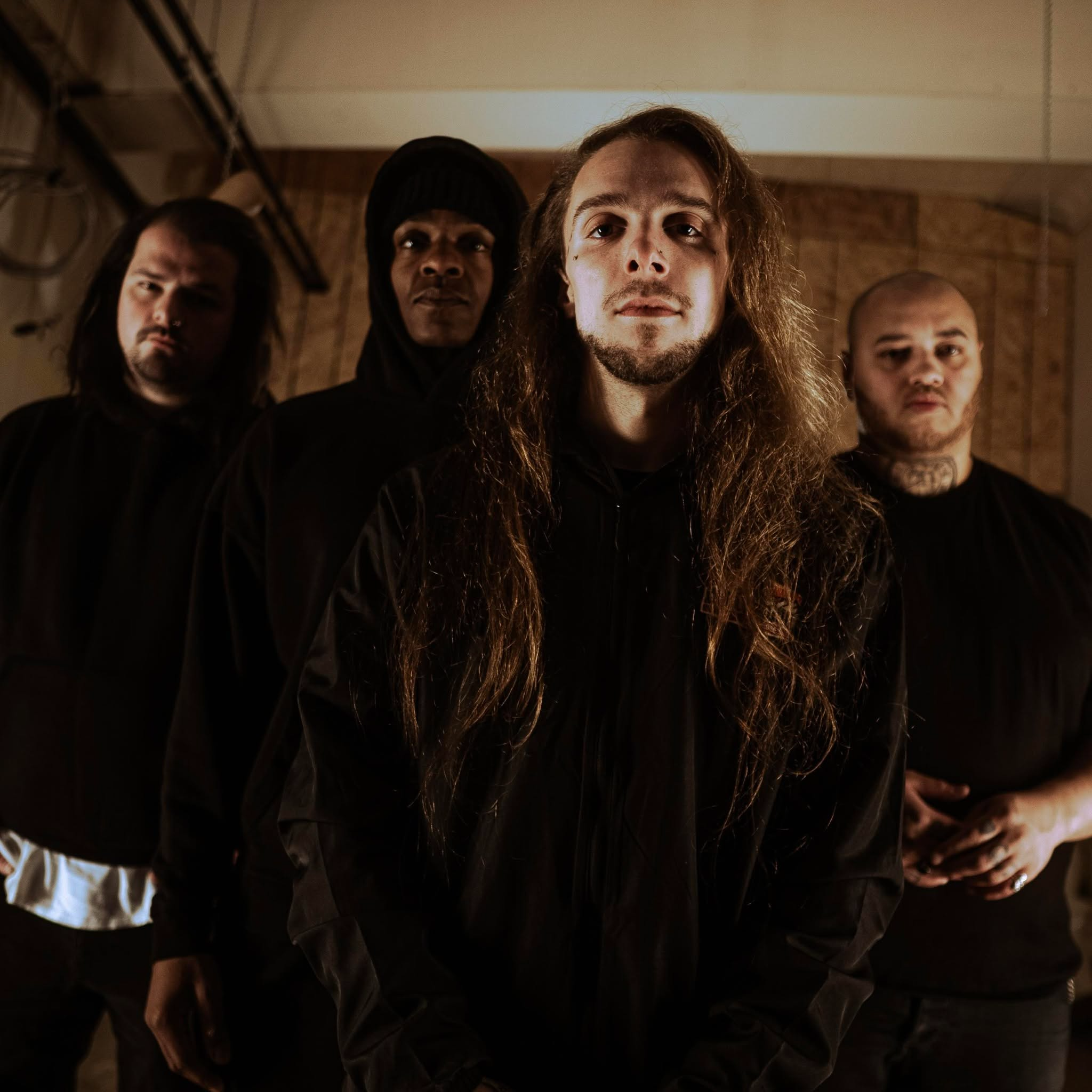 Sound Injection: Provenance Interview episode artwork