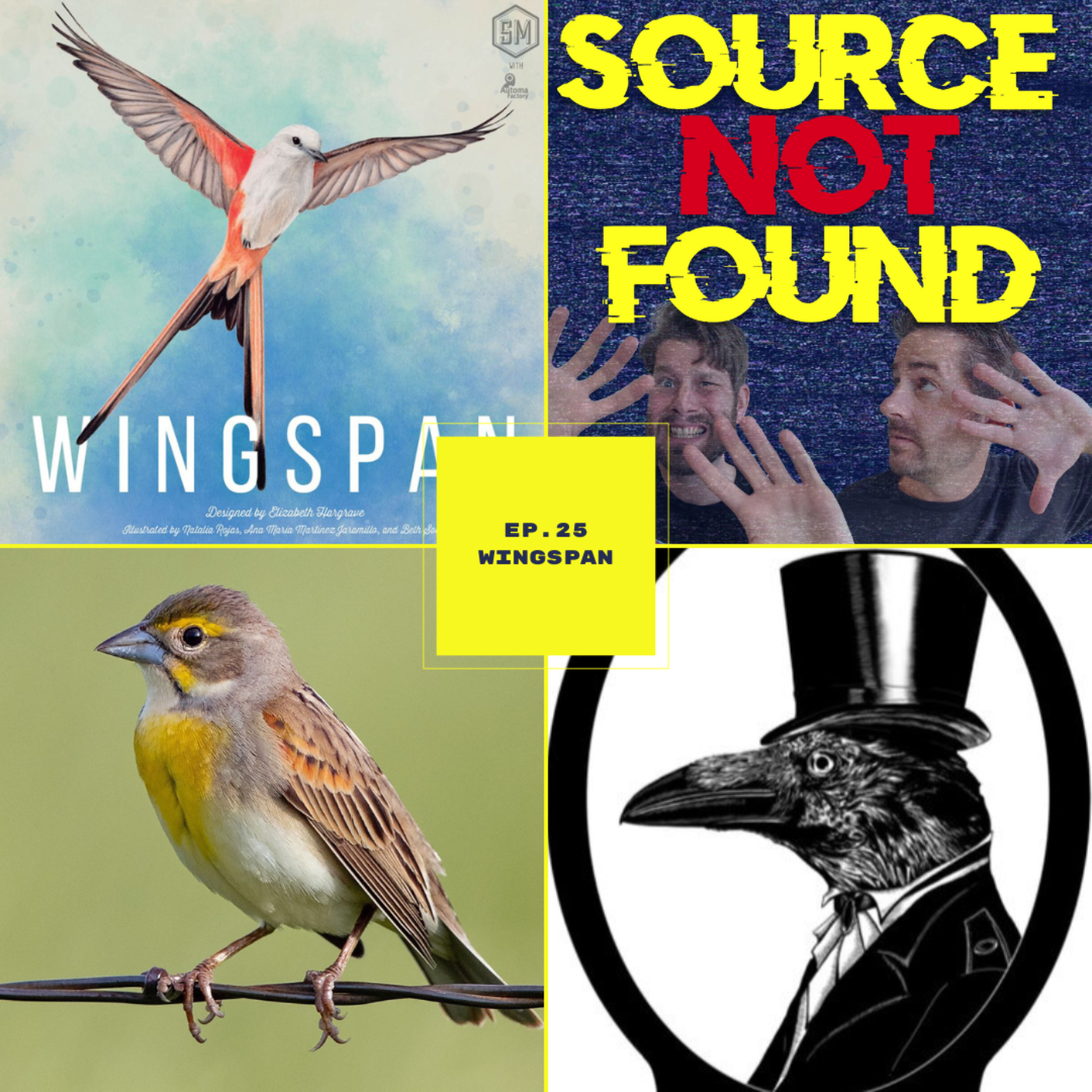 Source Not Found