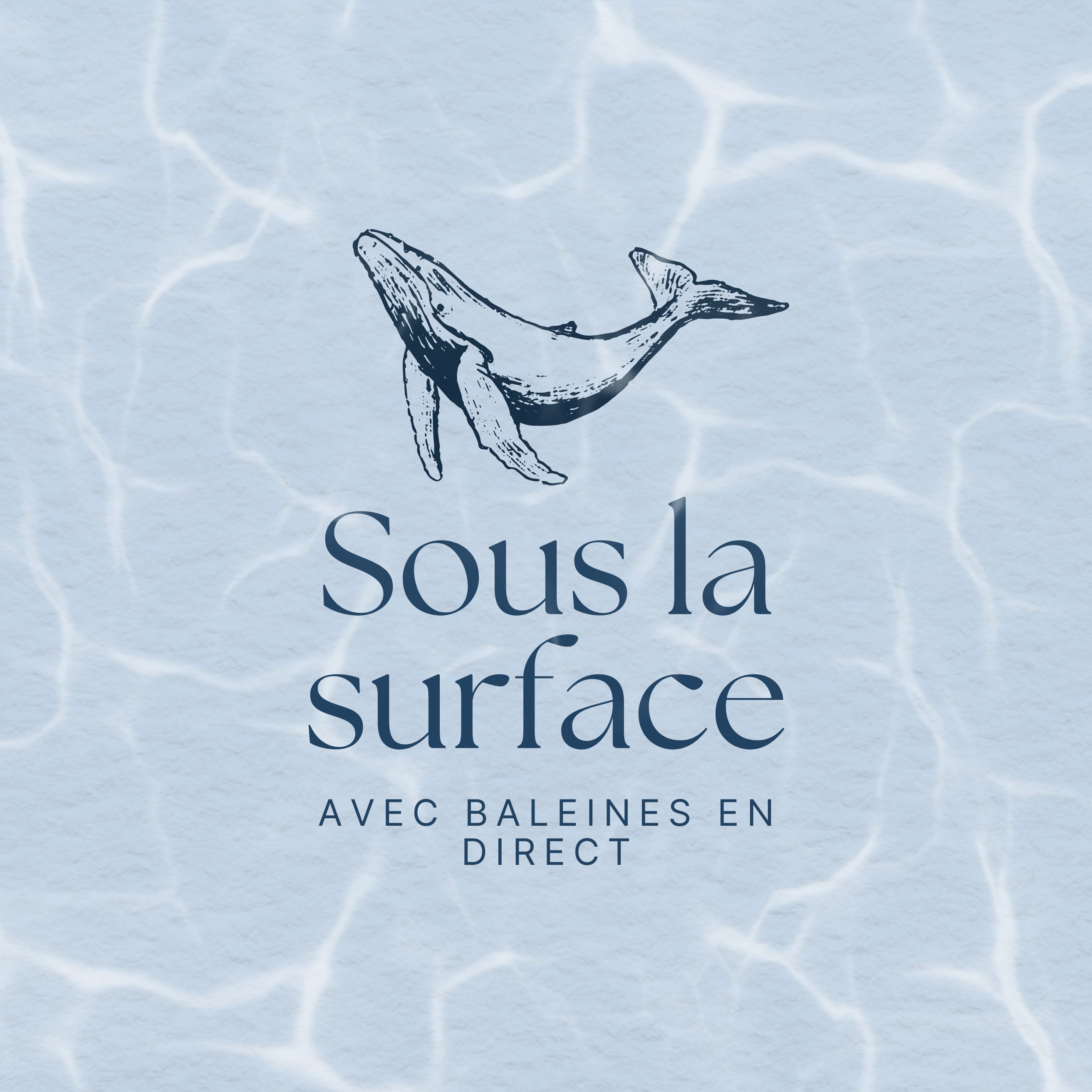 Illustration du podcast Sous la surface, avec Baleines en direct