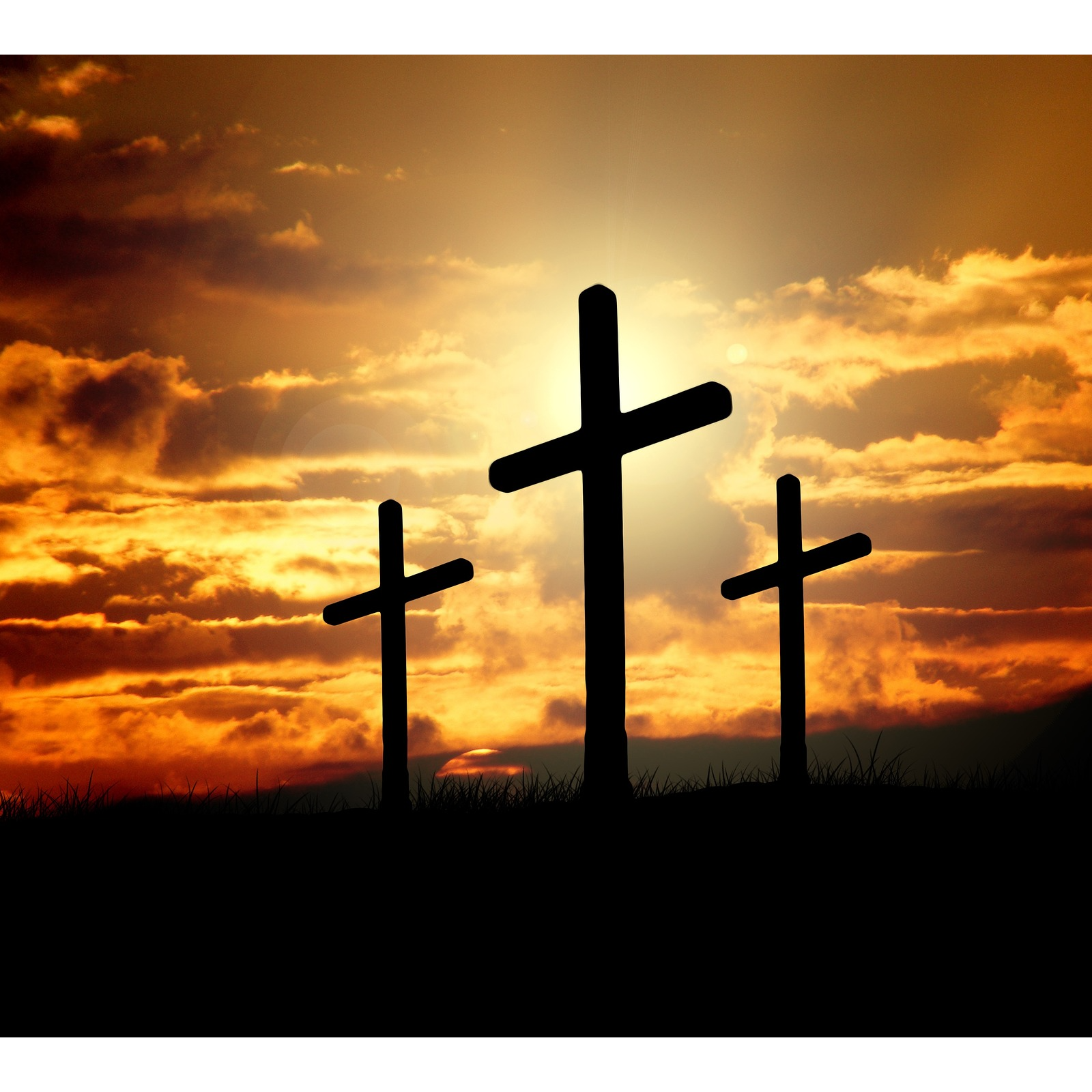 Sowing Seeds Radio Ministry's cover art