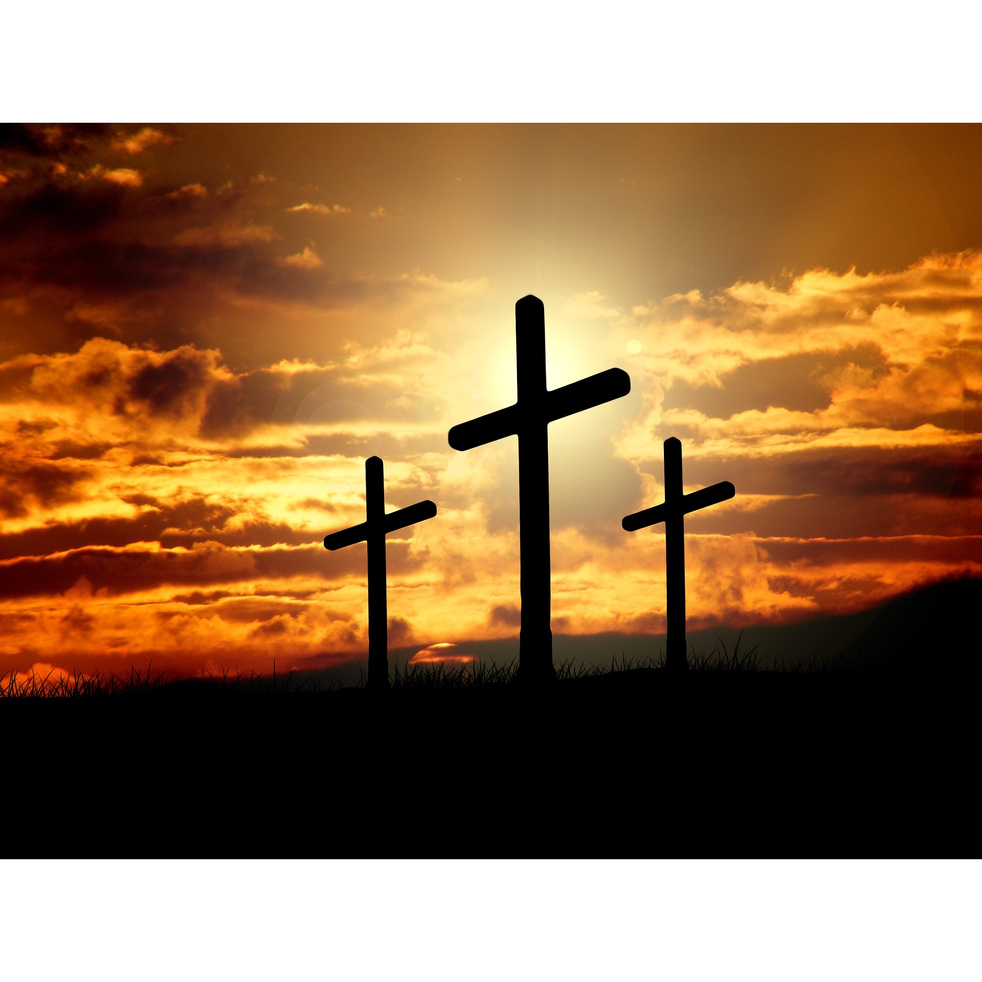 SOWING SEEDS RADIO MINISTRY 8-12-26 episode artwork