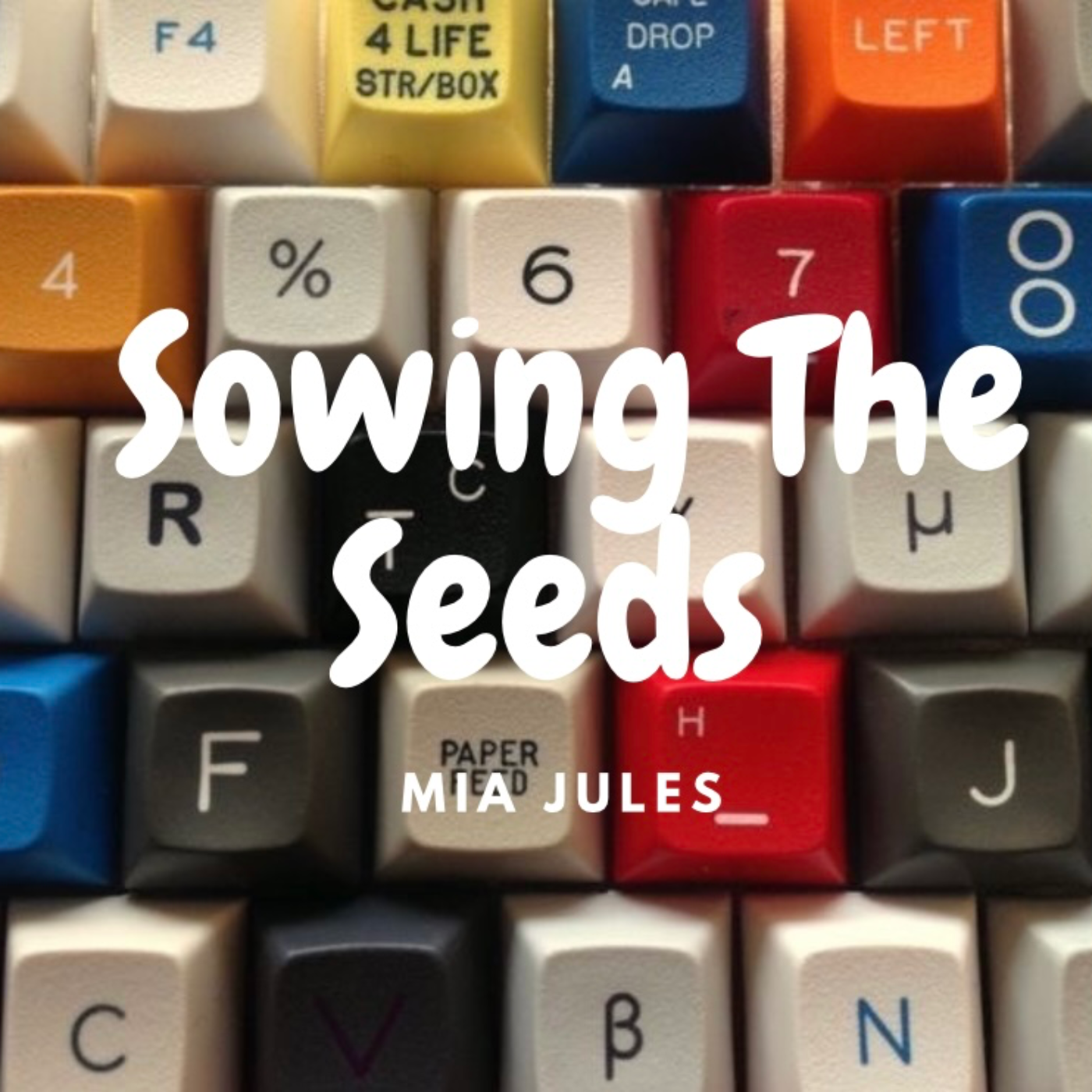 Sowing The Seeds 