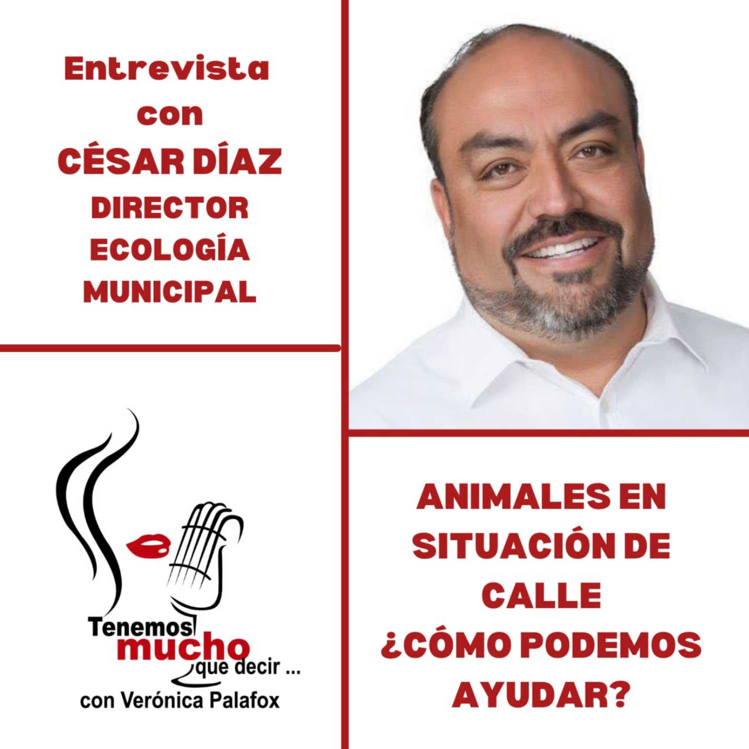 TENEMOS MUCHO QUE DECIR