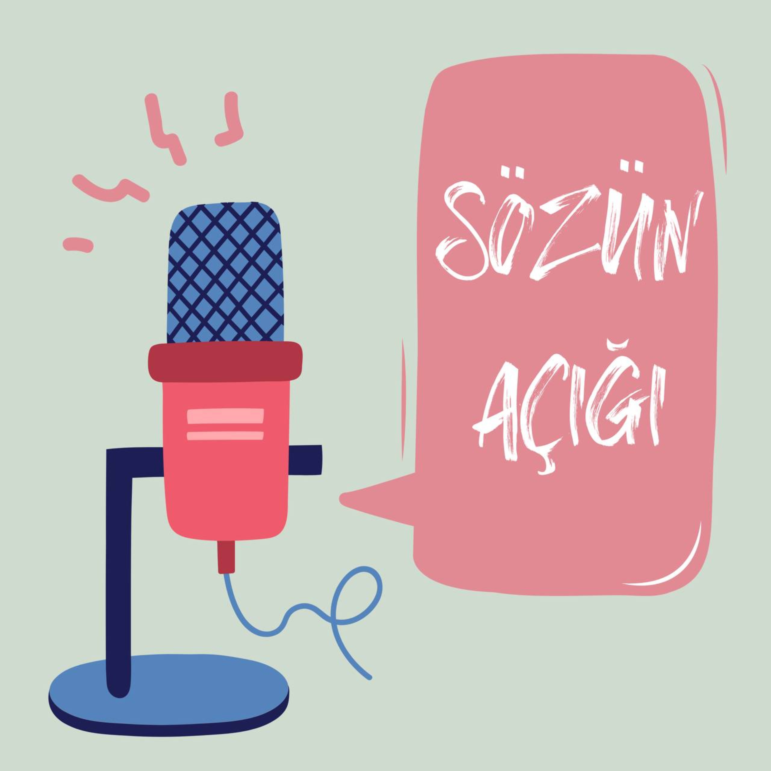 Sözün Açığı